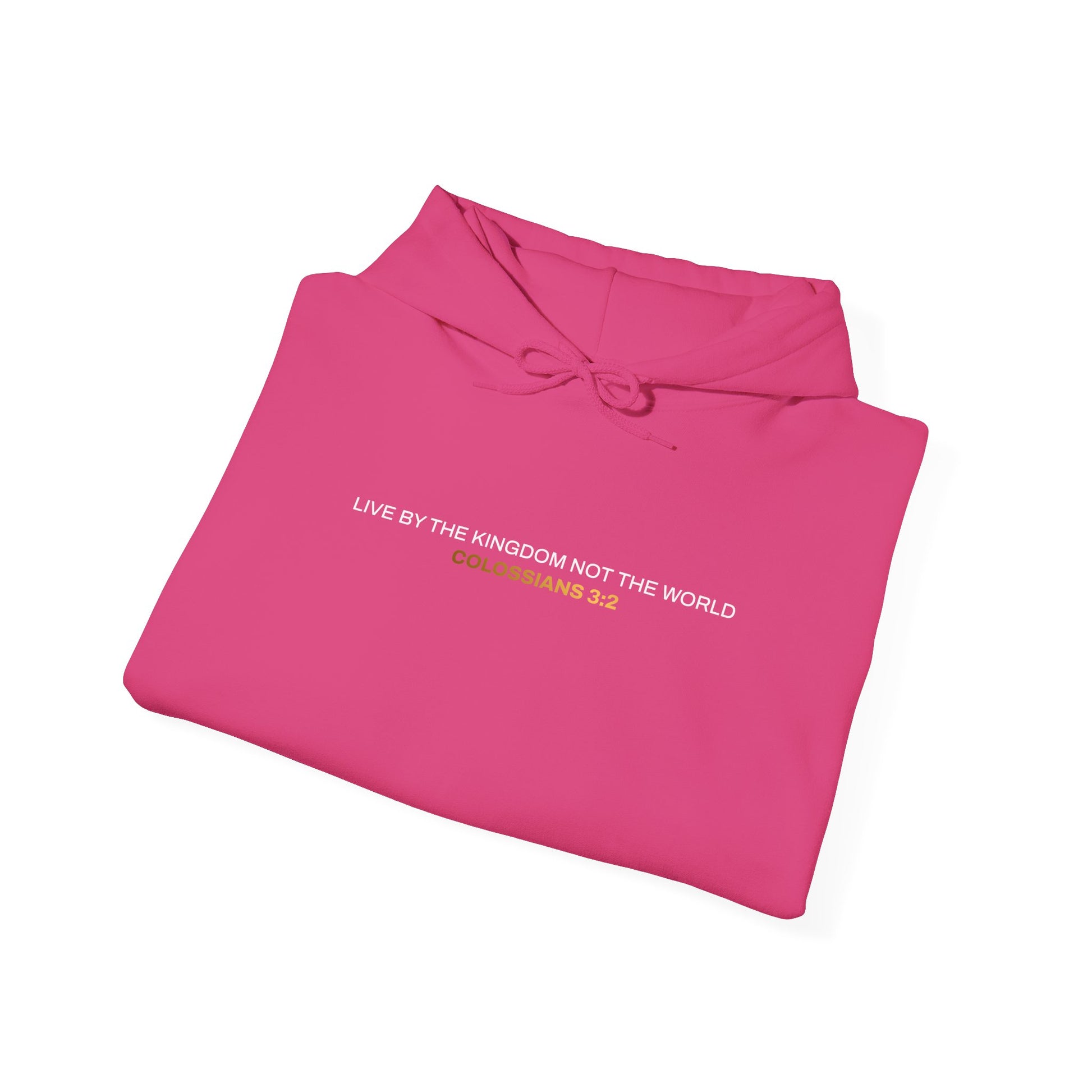 "Live By the Kingdom Not the World Colossians 3:2" Unisex Heavy Blend™ Hoodies - The Shield of Light