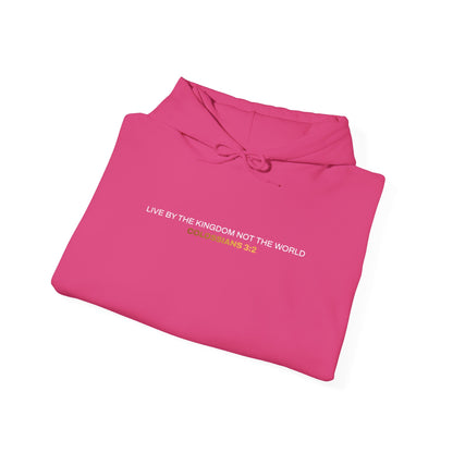 "Live By the Kingdom Not the World Colossians 3:2" Unisex Heavy Blend™ Hoodies - The Shield of Light