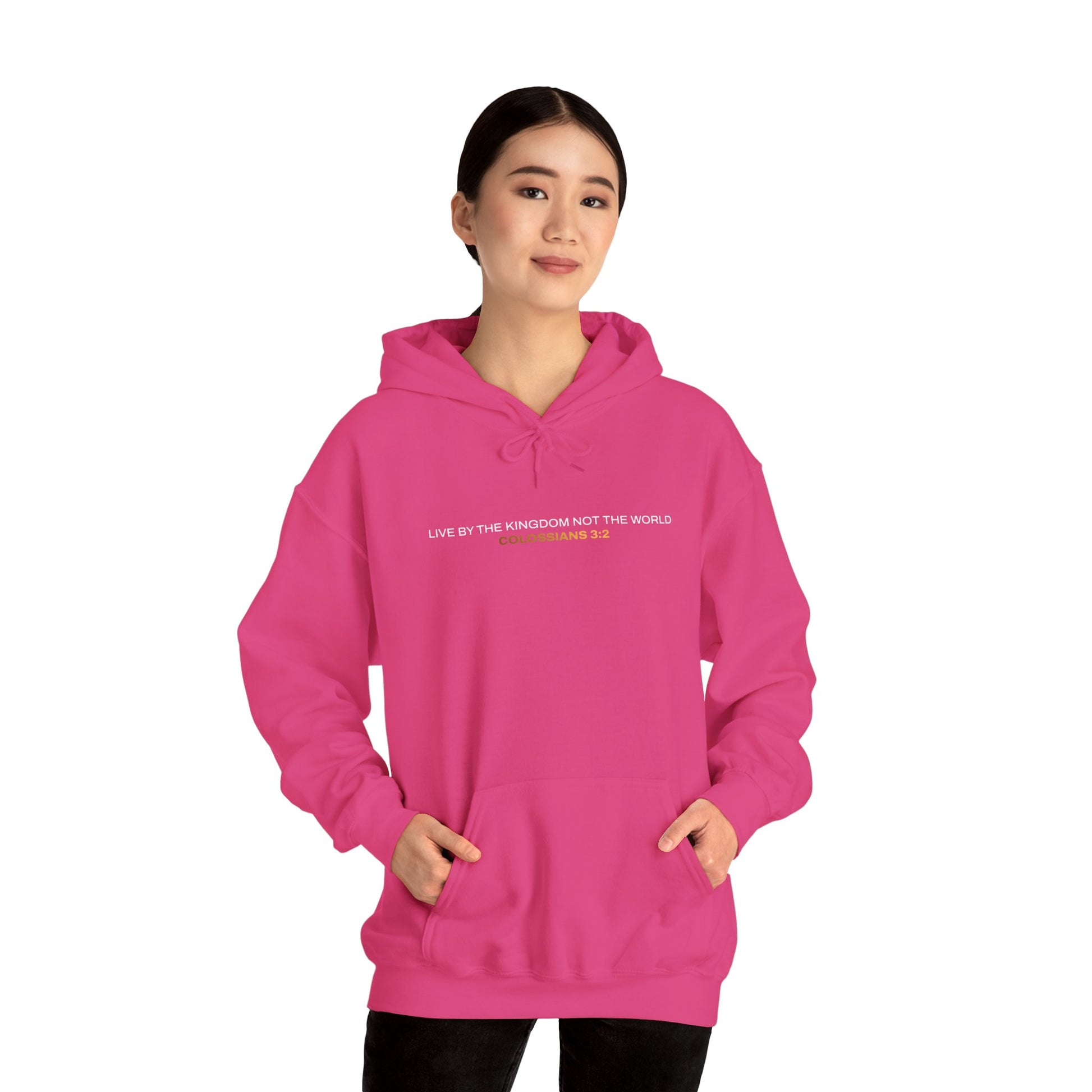 "Live By the Kingdom Not the World Colossians 3:2" Unisex Heavy Blend™ Hoodies - The Shield of Light
