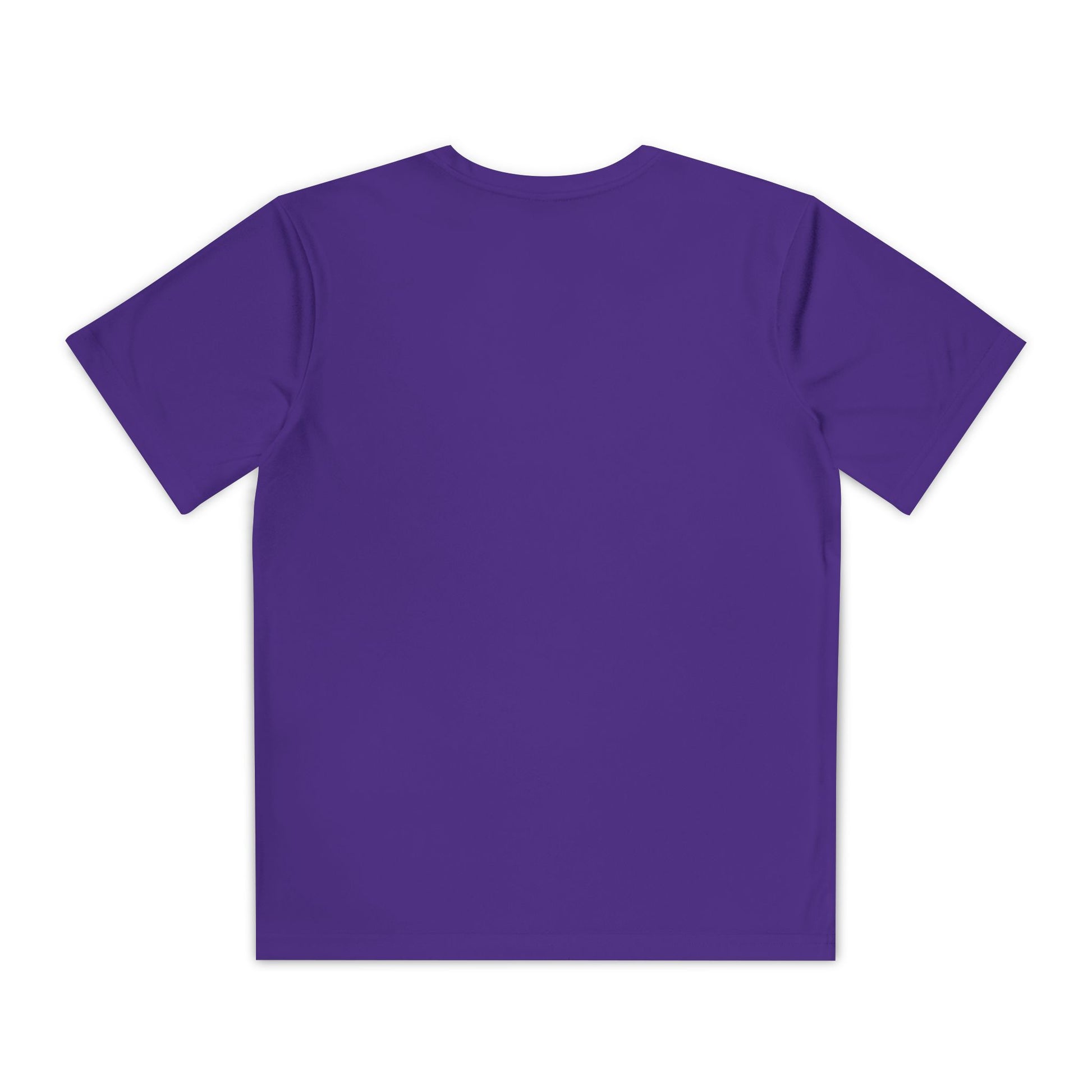 "Live By the Kingdom Not the World Colossians 3:2" Unisex Youth Competitor Tee - The Shield of Light