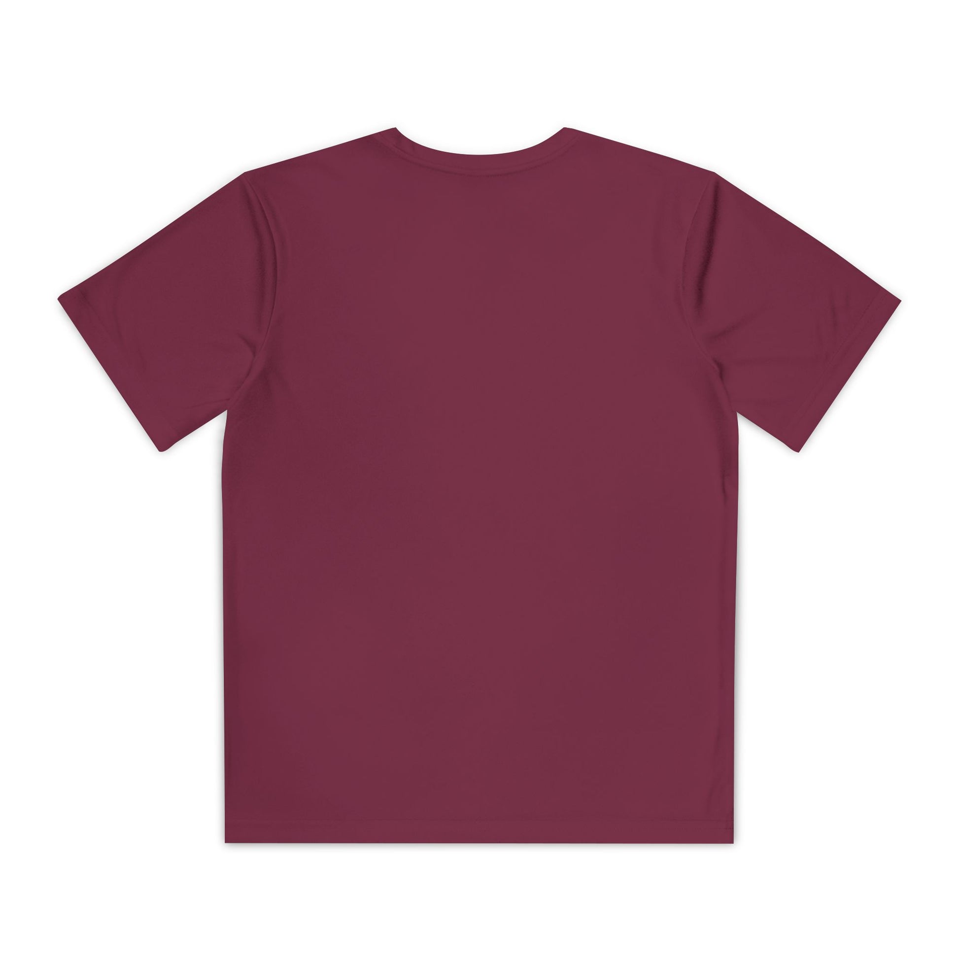 "Live By the Kingdom Not the World Colossians 3:2" Unisex Youth Competitor Tee - The Shield of Light