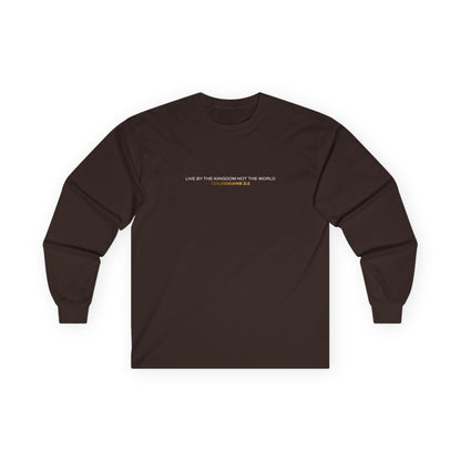"Live By the Kingdom Not the World Colossians 3:2" Unisex Long Sleeve Tee - The Shield of Light