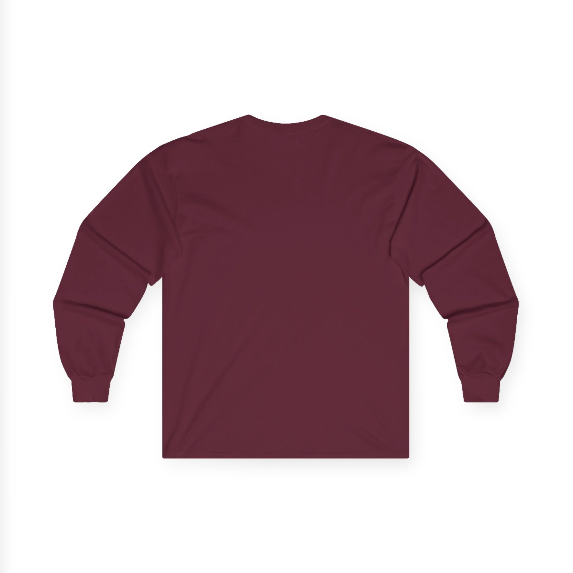 "Live By the Kingdom Not the World Colossians 3:2" Unisex Long Sleeve Tee - The Shield of Light