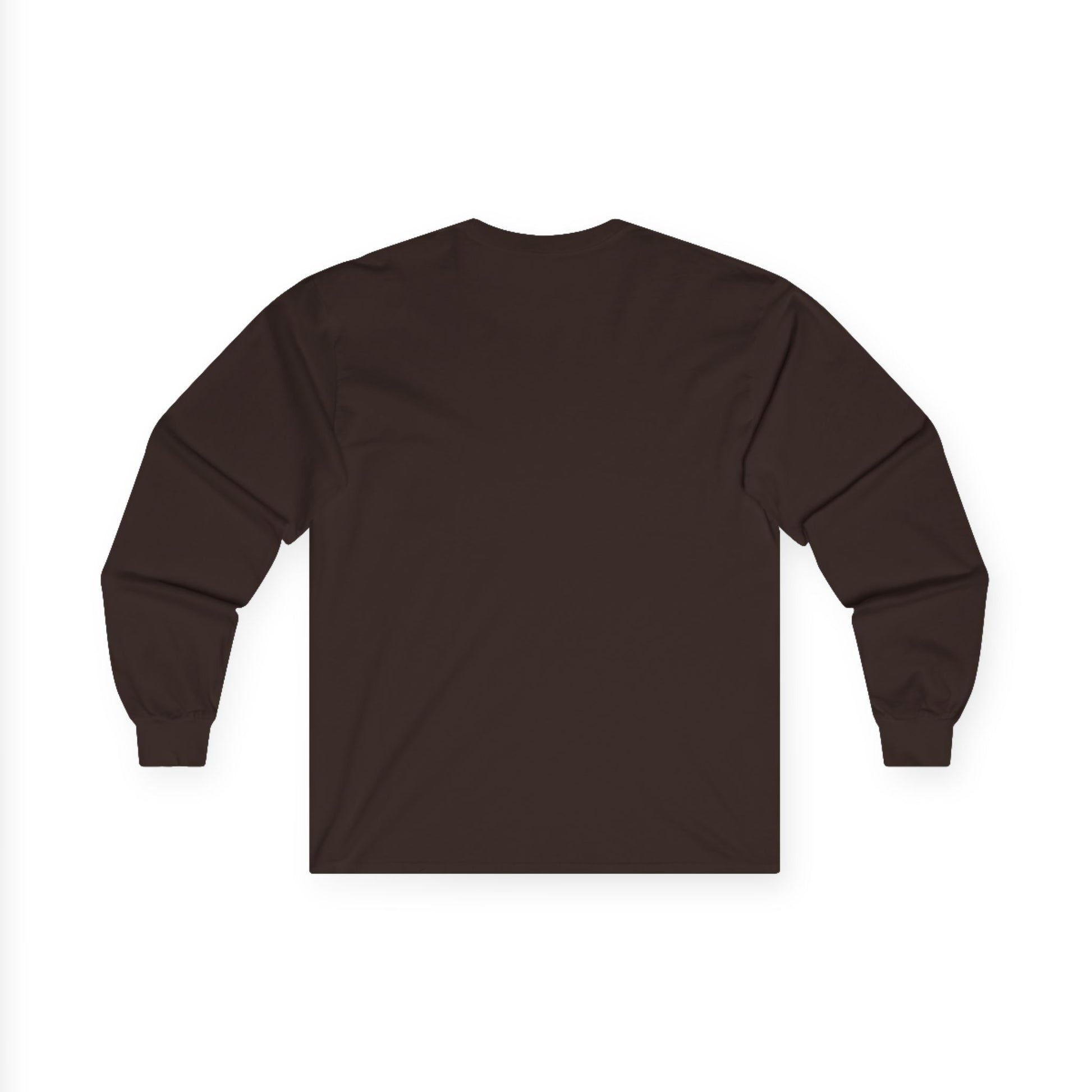 "Live By the Kingdom Not the World Colossians 3:2" Unisex Long Sleeve Tee - The Shield of Light