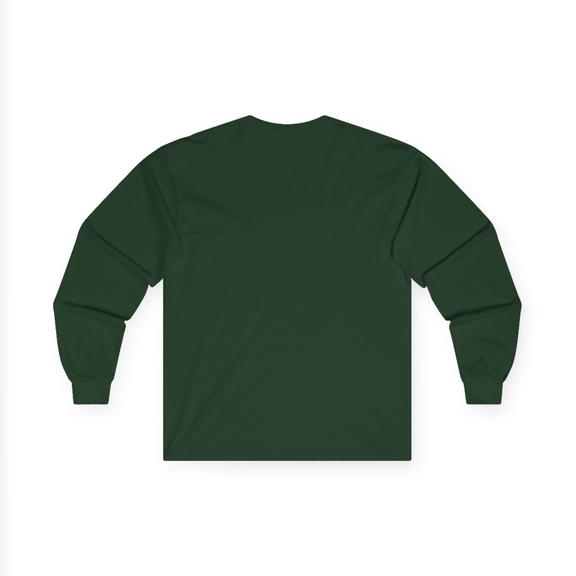 "Live By the Kingdom Not the World Colossians 3:2" Unisex Long Sleeve Tee - The Shield of Light