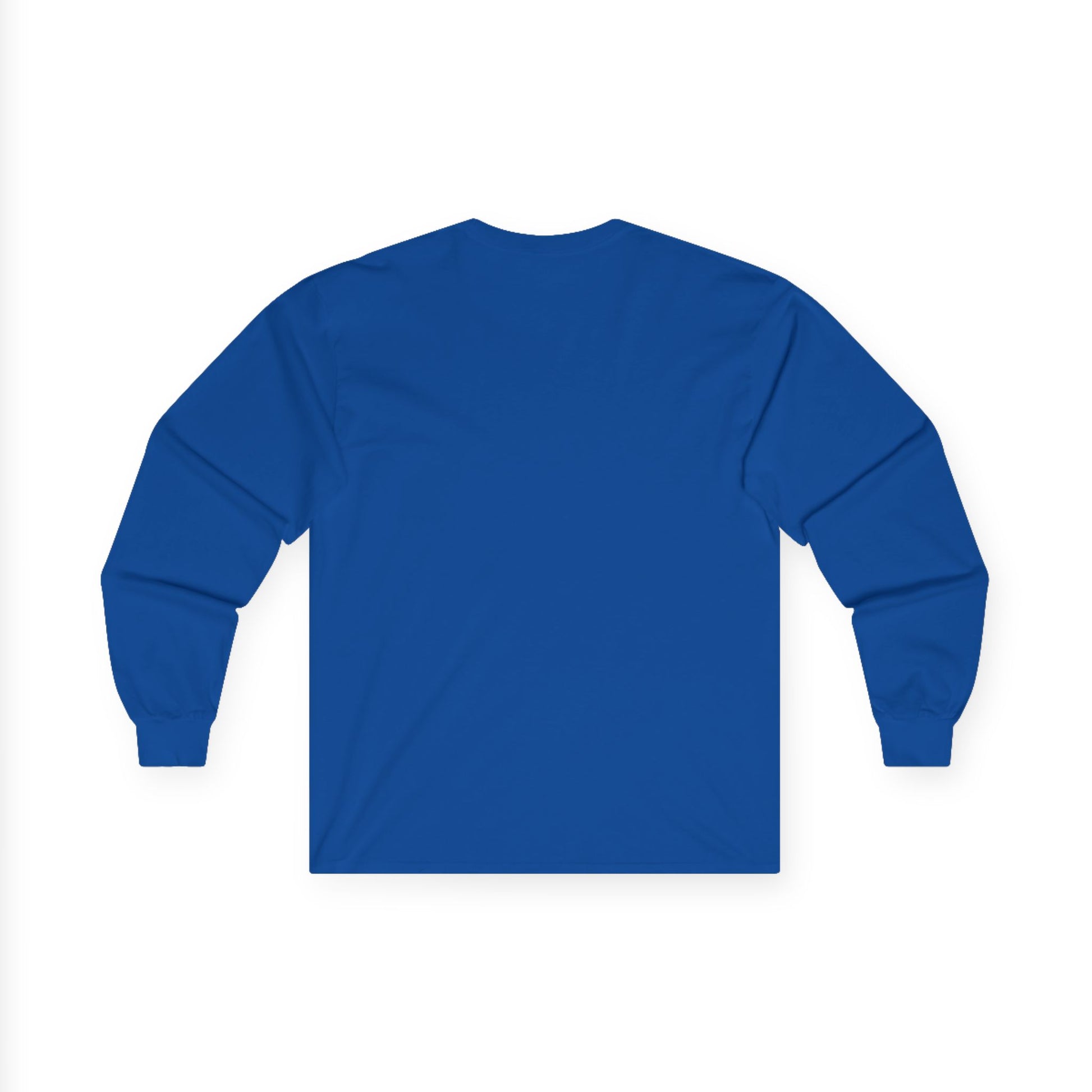 "Live By the Kingdom Not the World Colossians 3:2" Unisex Long Sleeve Tee - The Shield of Light