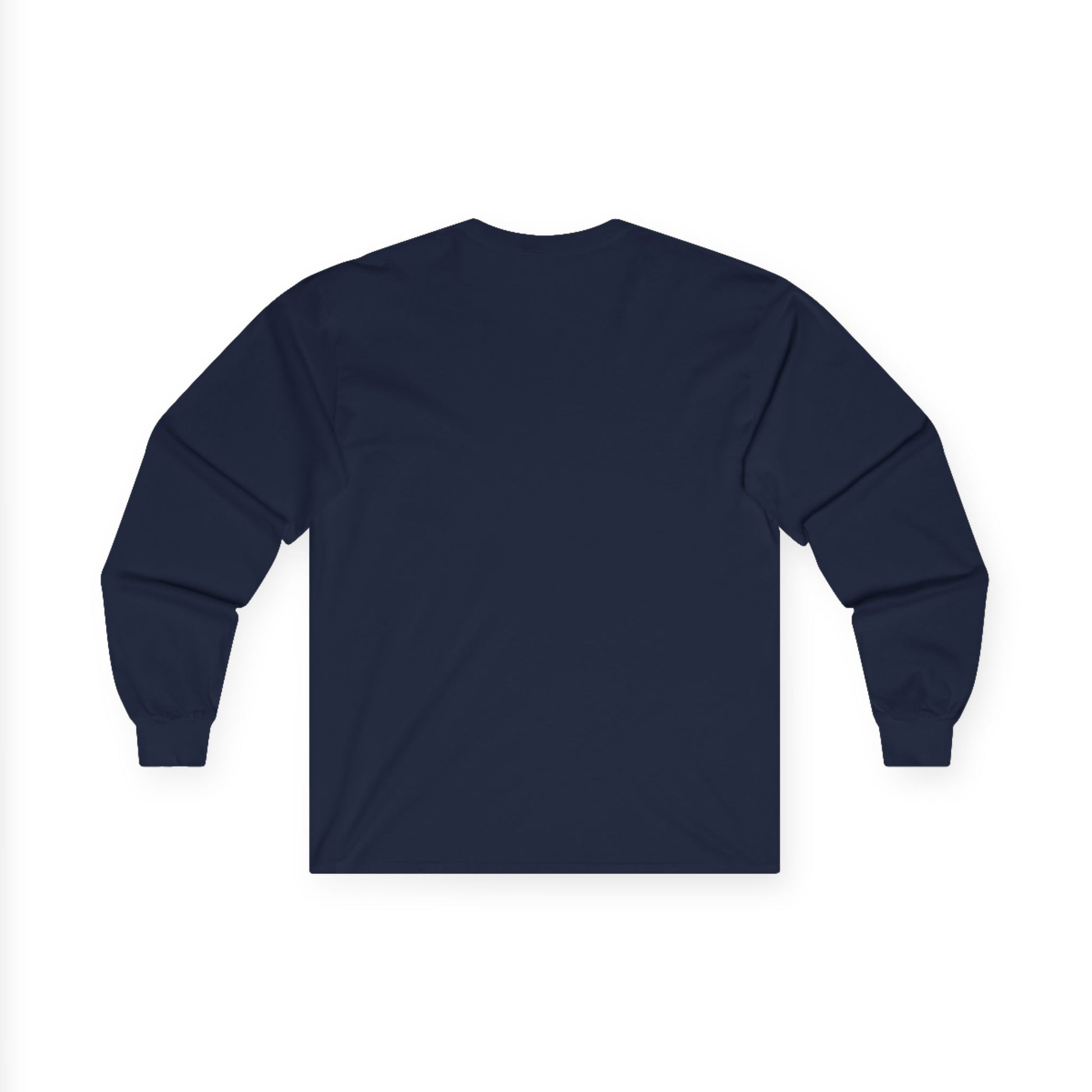 "Live By the Kingdom Not the World Colossians 3:2" Unisex Long Sleeve Tee - The Shield of Light