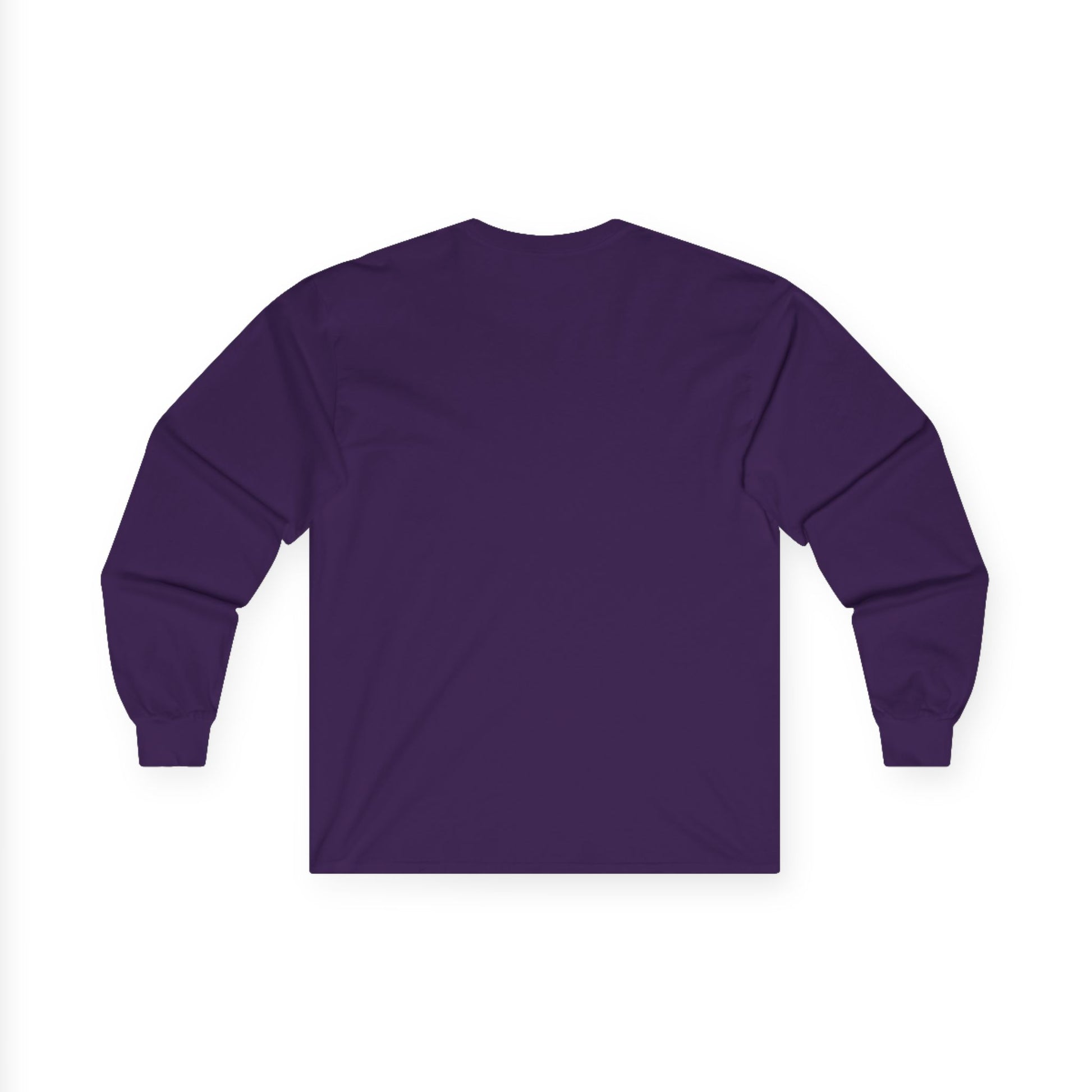 "Live By the Kingdom Not the World Colossians 3:2" Unisex Long Sleeve Tee - The Shield of Light