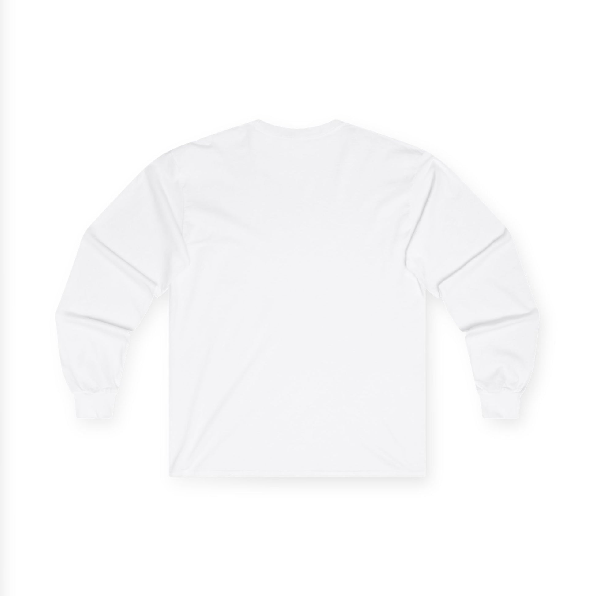 "Live By the Kingdom Not the World Colossians 3:2" Unisex Long Sleeve Tee - The Shield of Light