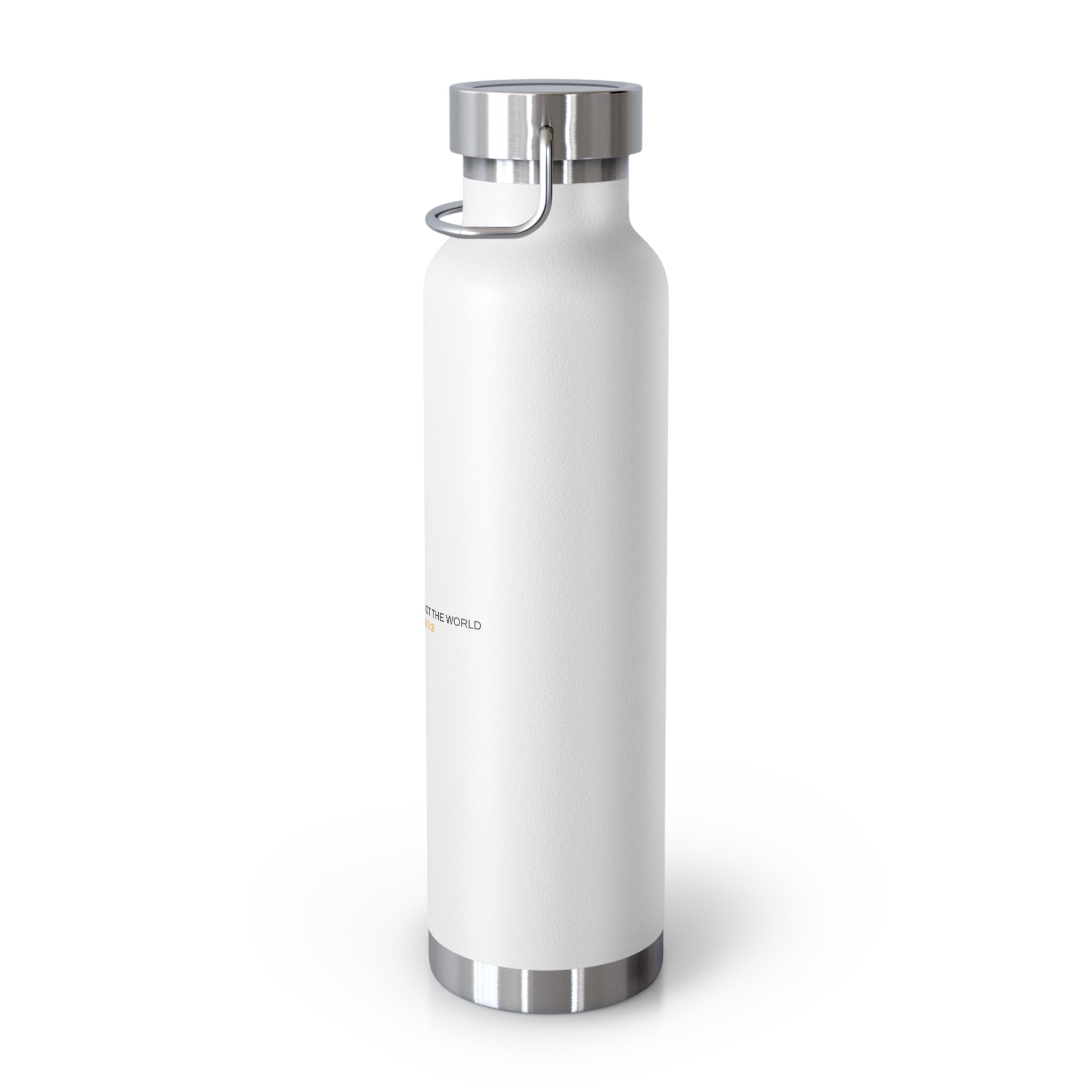 "Live By the Kingdom Not the World Colossians 3:2" Unisex Inspirational Copper Vacuum Insulated Bottle - 22oz - The Shield of Light