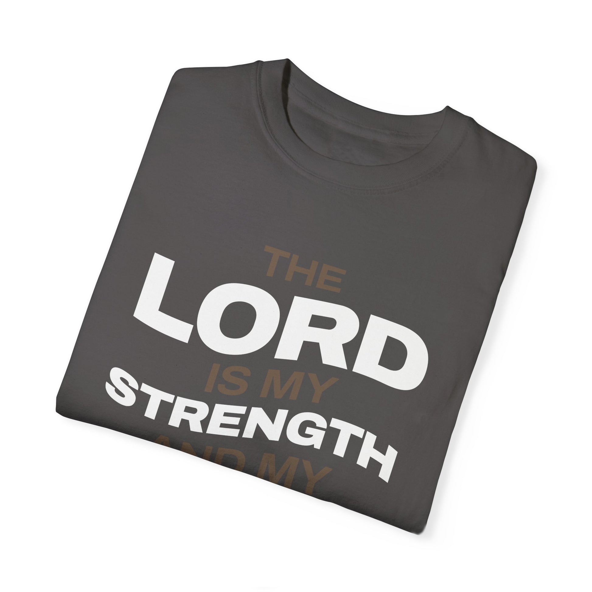 "The Lord Is My Strength and My Shield Psalm 28:7" Unisex Garment-Dyed T-Shirt - The Shield of Light