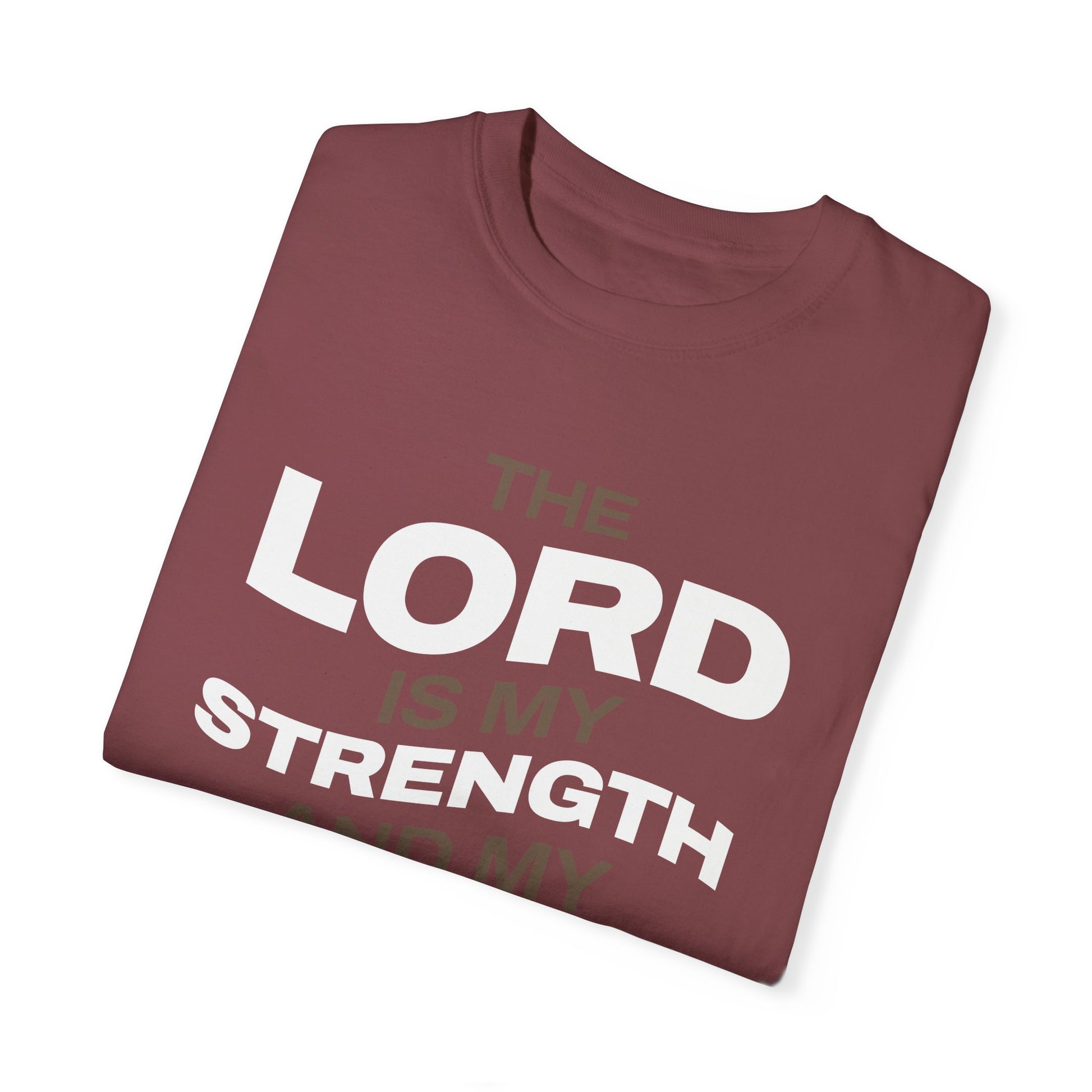 "The Lord Is My Strength and My Shield Psalm 28:7" Unisex Garment-Dyed T-Shirt - The Shield of Light