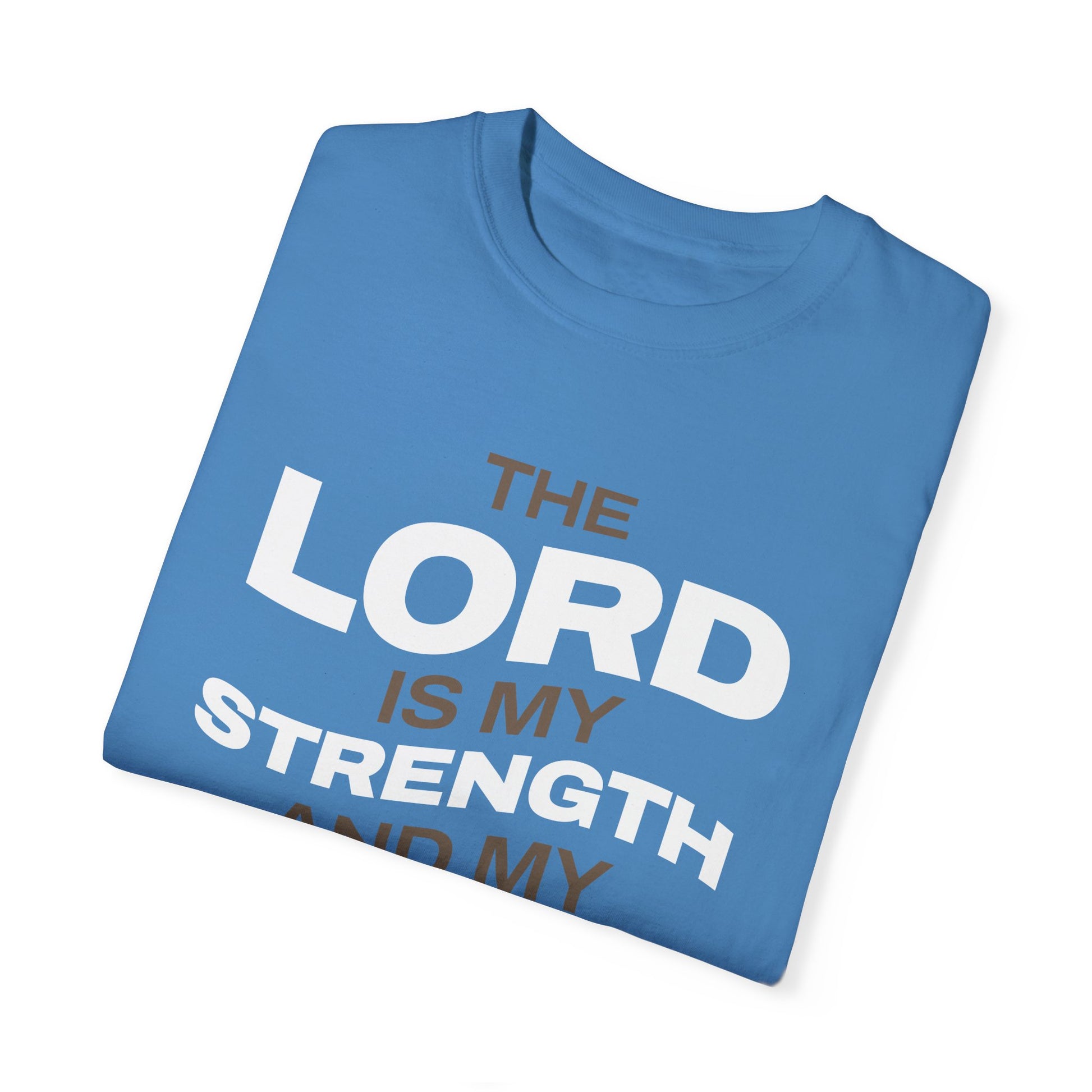 "The Lord Is My Strength and My Shield Psalm 28:7" Unisex Garment-Dyed T-Shirt - The Shield of Light