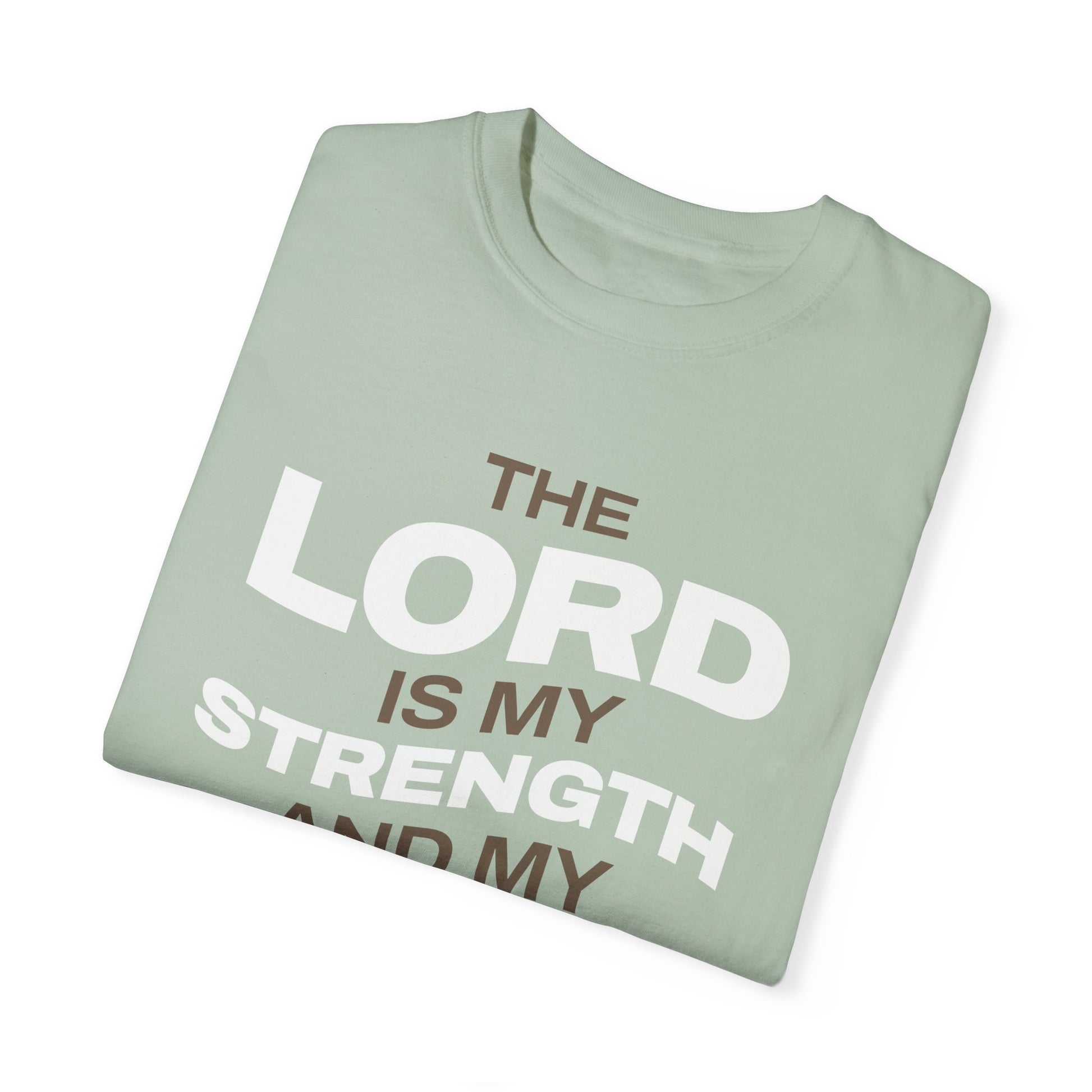 "The Lord Is My Strength and My Shield Psalm 28:7" Unisex Garment-Dyed T-Shirt - The Shield of Light