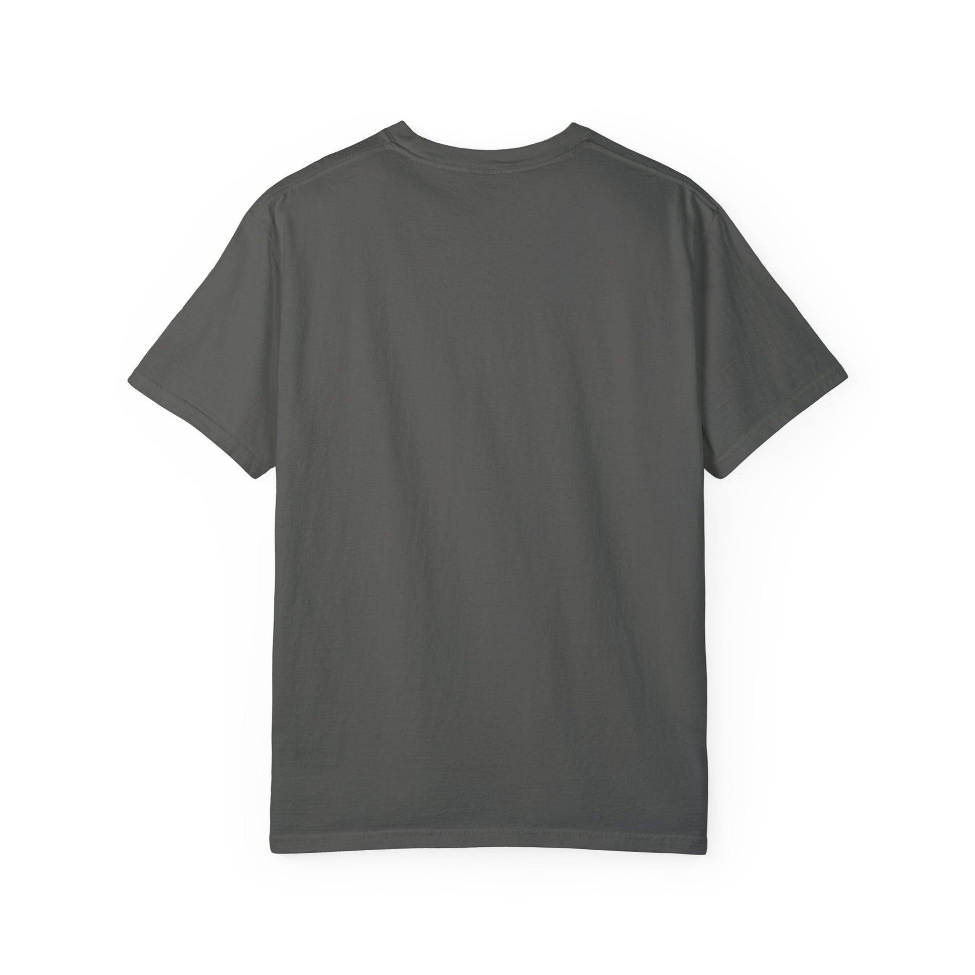 Thorns & Victory Unisex Garment-Dyed T-Shirt - The Shield of Light