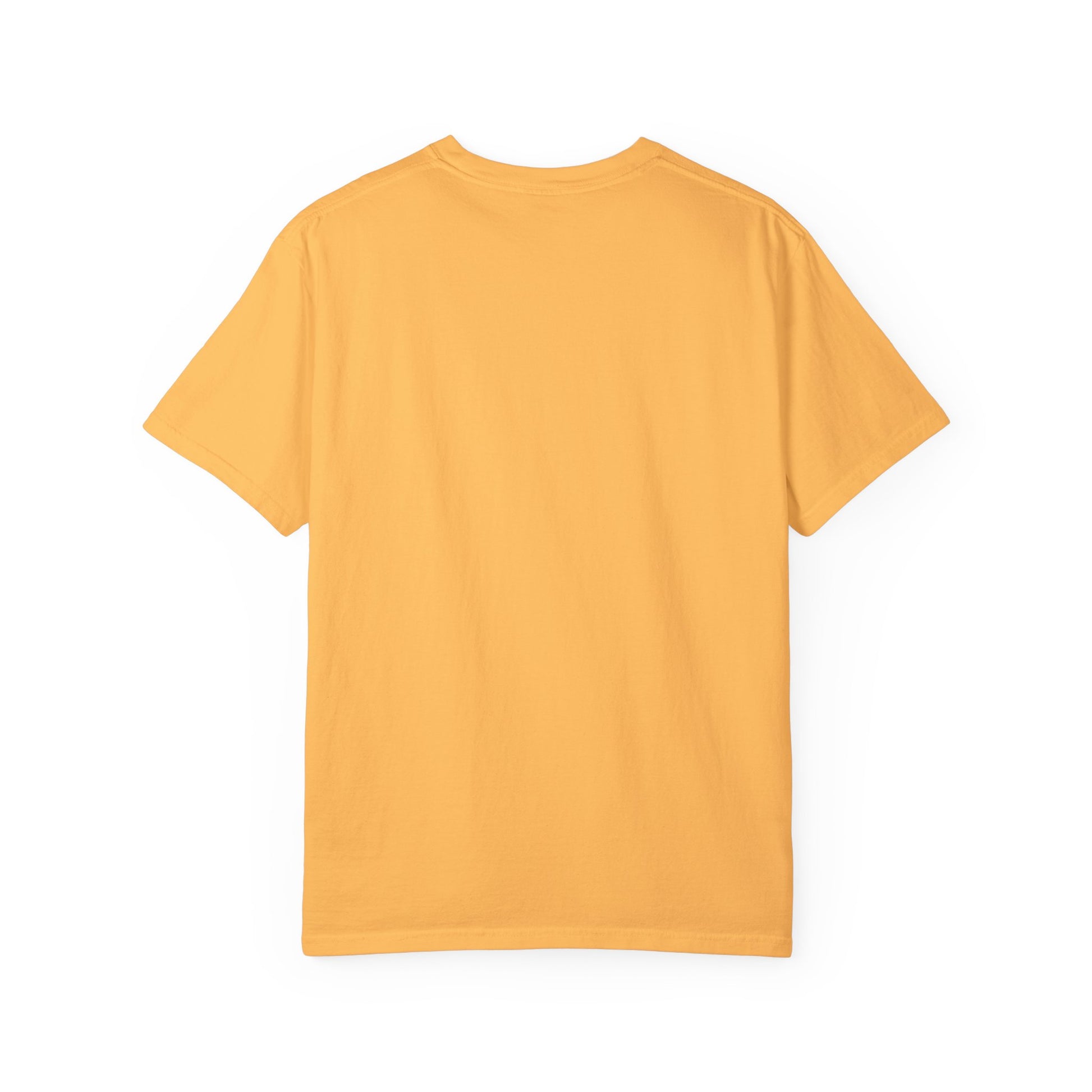 "Fortified In  Faith " Unisex Garment-Dyed T-Shirt - The Shield of Light