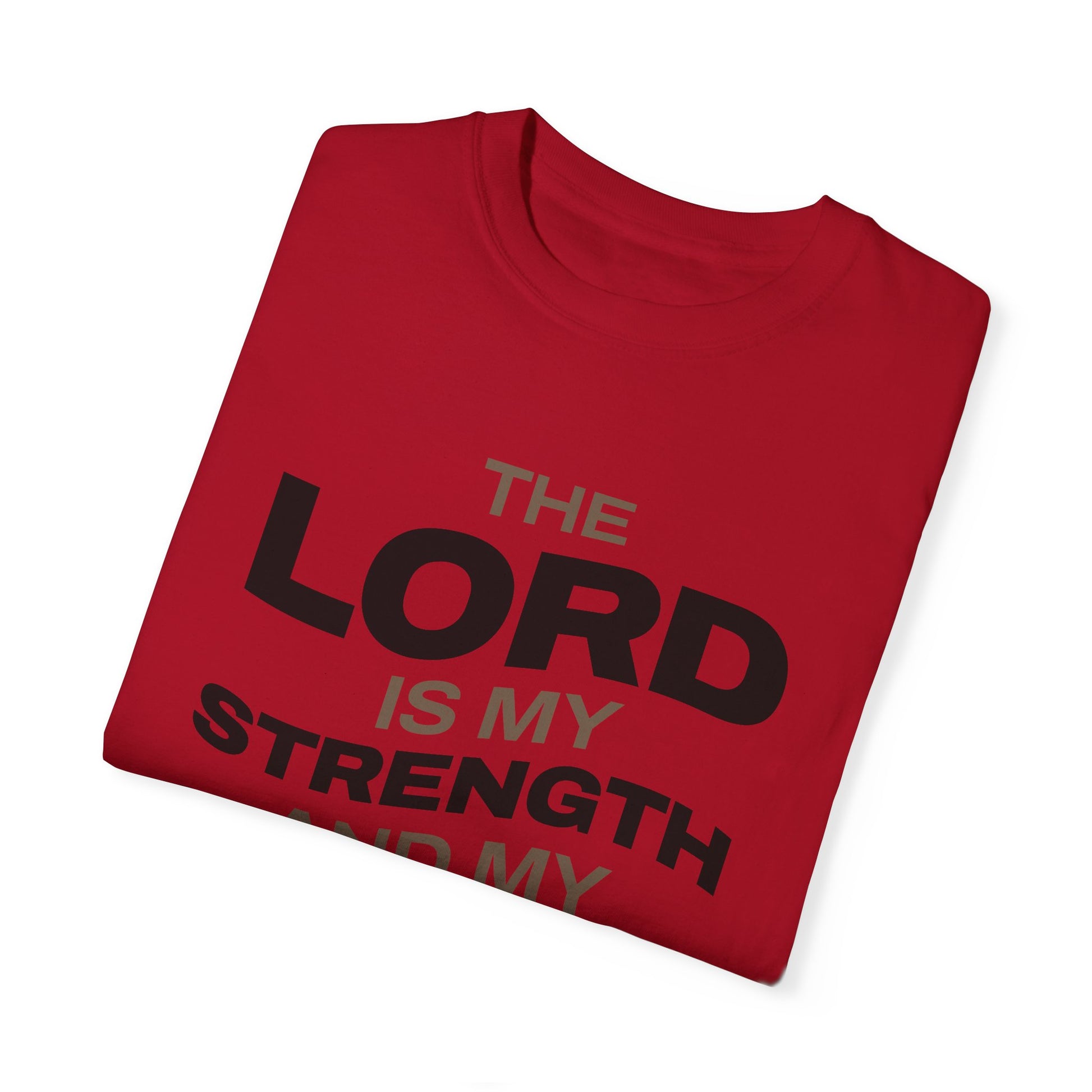 "The Lord Is My Strength and My Shield Psalm 28:7" Unisex Garment-Dyed T-Shirt - The Shield of Light