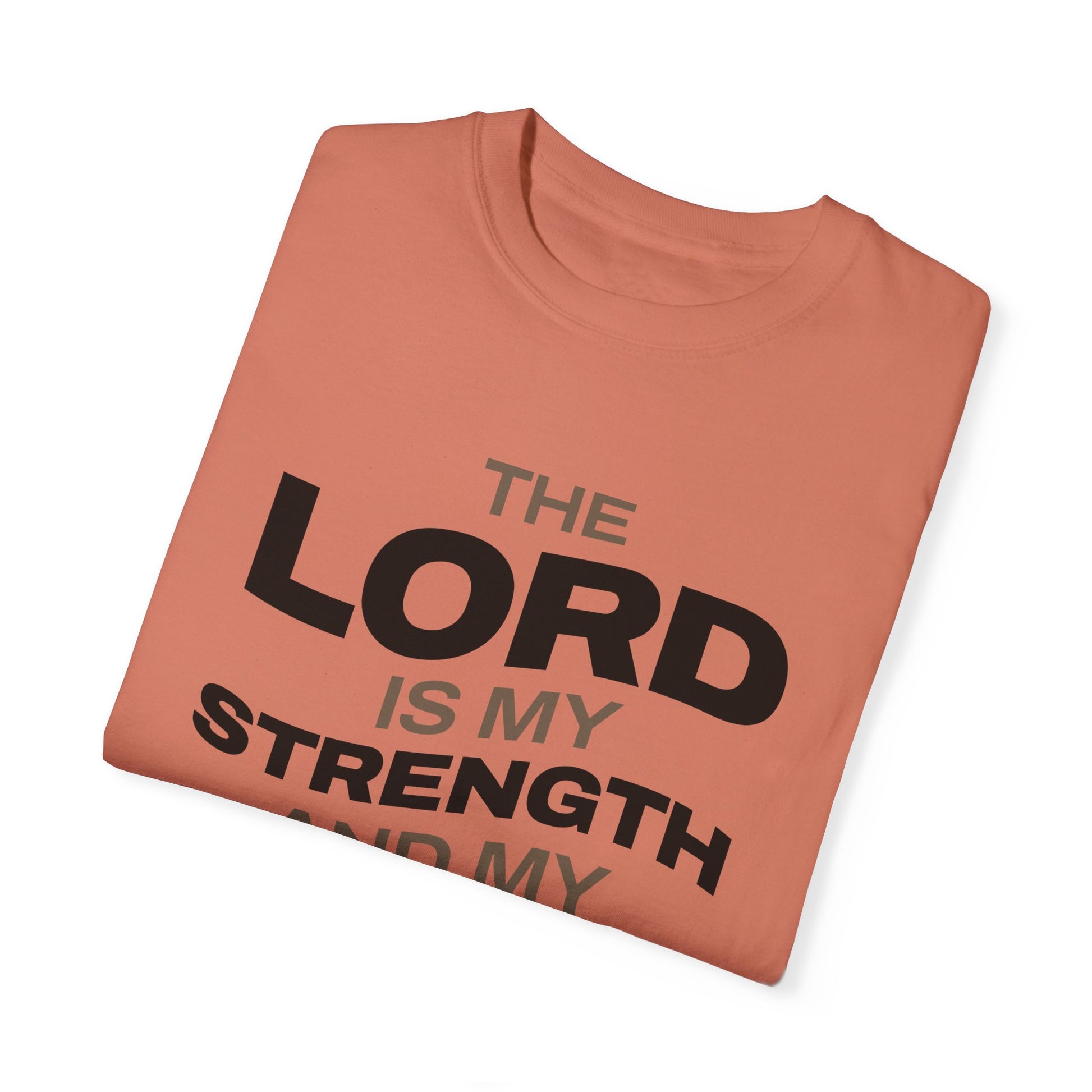 "The Lord Is My Strength and My Shield Psalm 28:7" Unisex Garment-Dyed T-Shirt - The Shield of Light