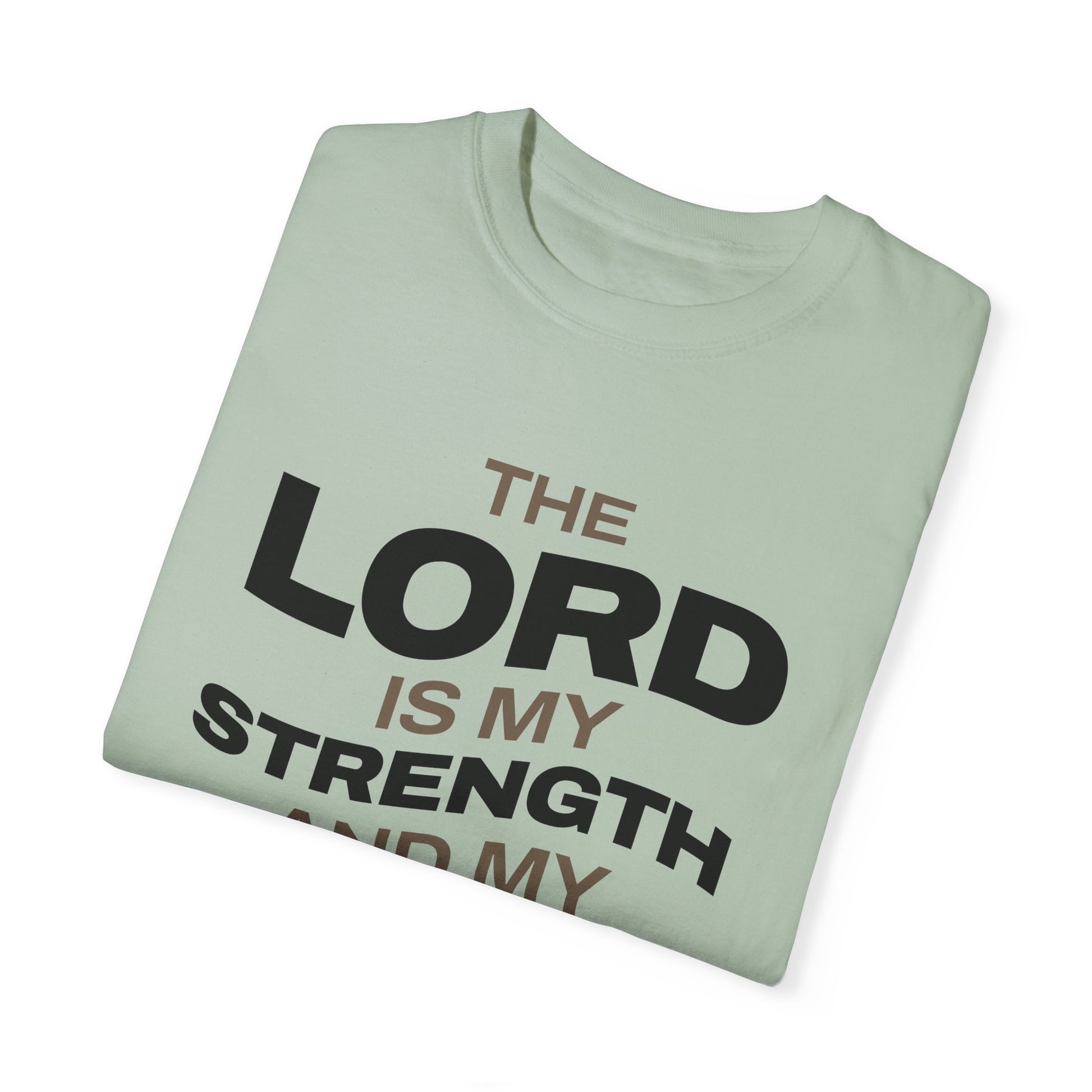 "The Lord Is My Strength and My Shield Psalm 28:7" Unisex Garment-Dyed T-Shirt - The Shield of Light