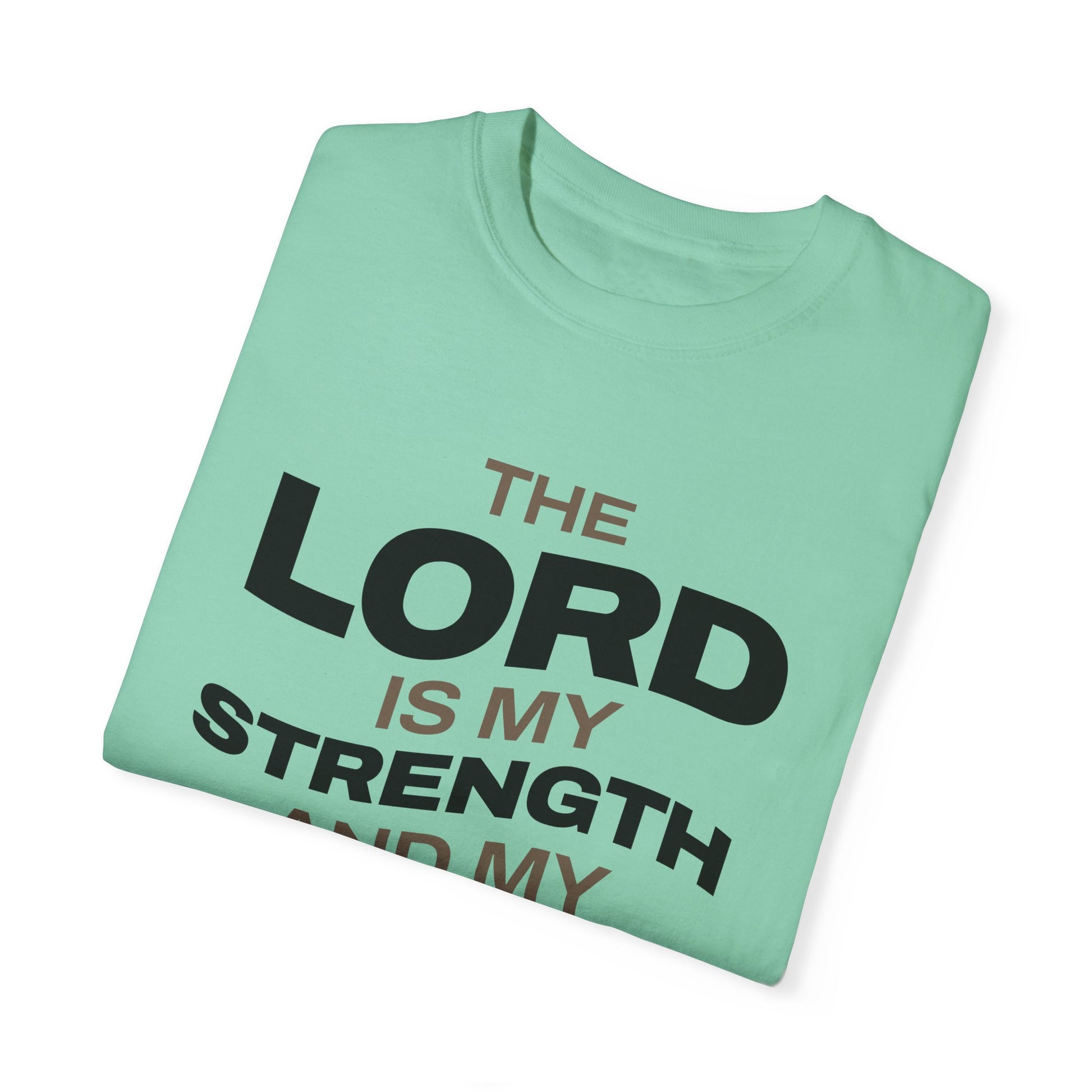 "The Lord Is My Strength and My Shield Psalm 28:7" Unisex Garment-Dyed T-Shirt - The Shield of Light