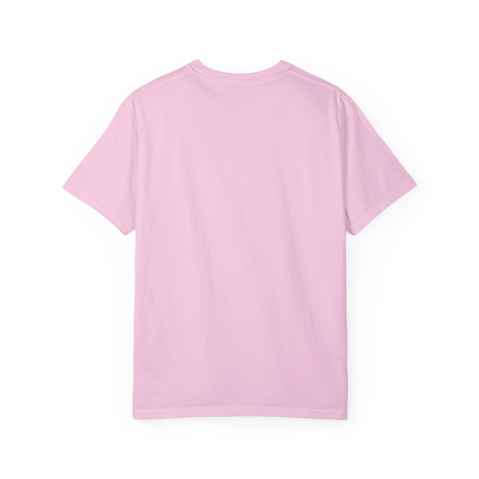 "As Iron Sharpeneth Iron So One Person Sharpens Another" Unisex Garment-Dyed T-Shirt - The Shield of Light