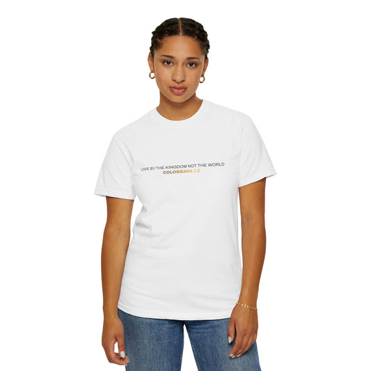 "Live By the Kingdom Not the World Colossians 3:2" Unisex Garment-Dyed T-Shirt - The Shield of Light