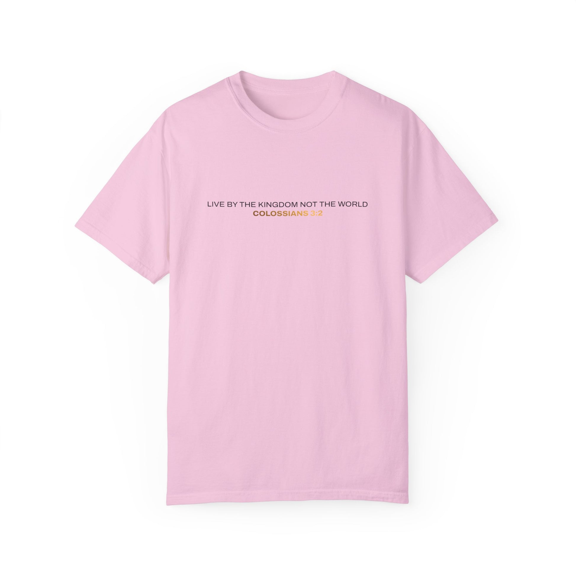"Live By the Kingdom Not the World Colossians 3:2" Unisex Garment-Dyed T-Shirt - The Shield of Light