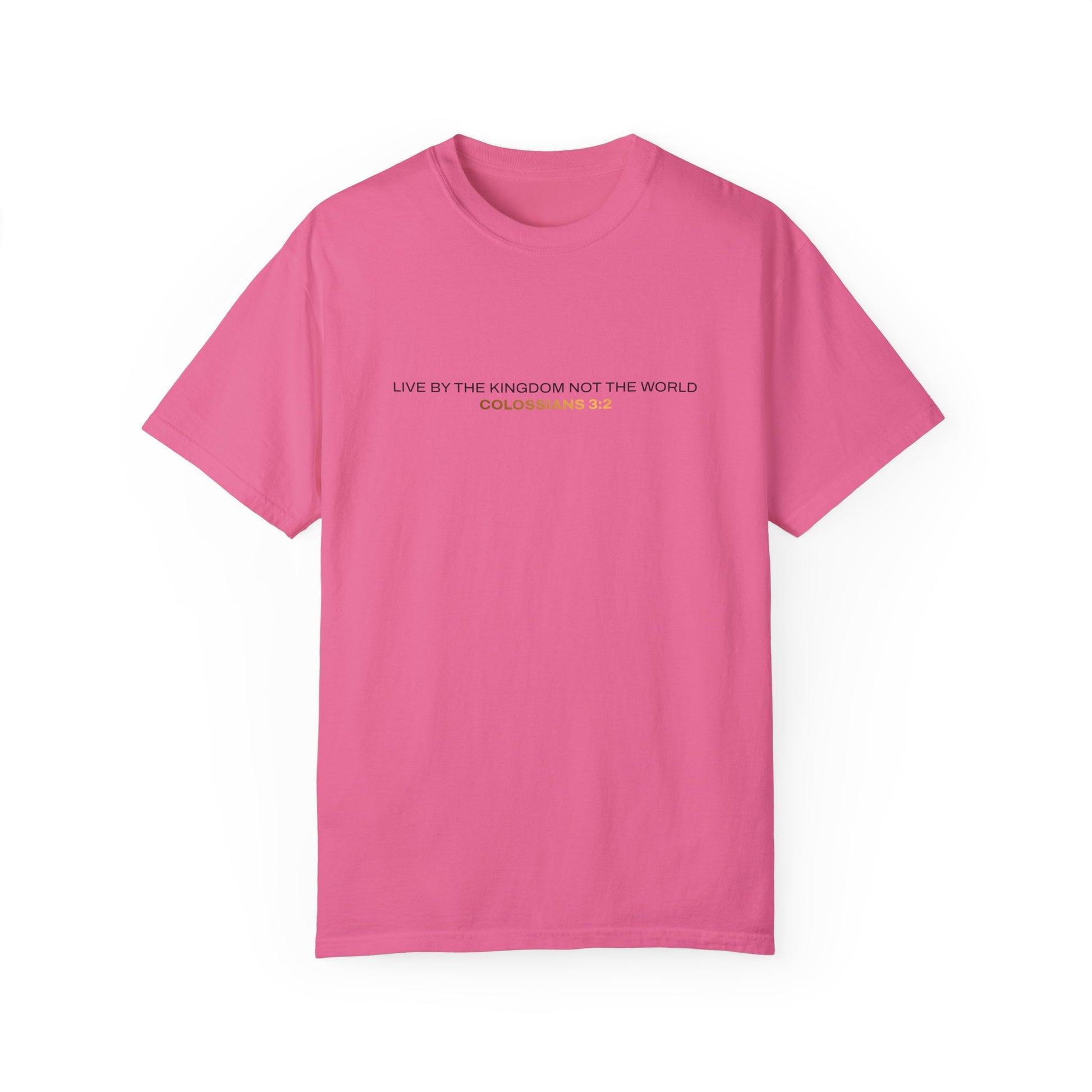 "Live By the Kingdom Not the World Colossians 3:2" Unisex Garment-Dyed T-Shirt - The Shield of Light
