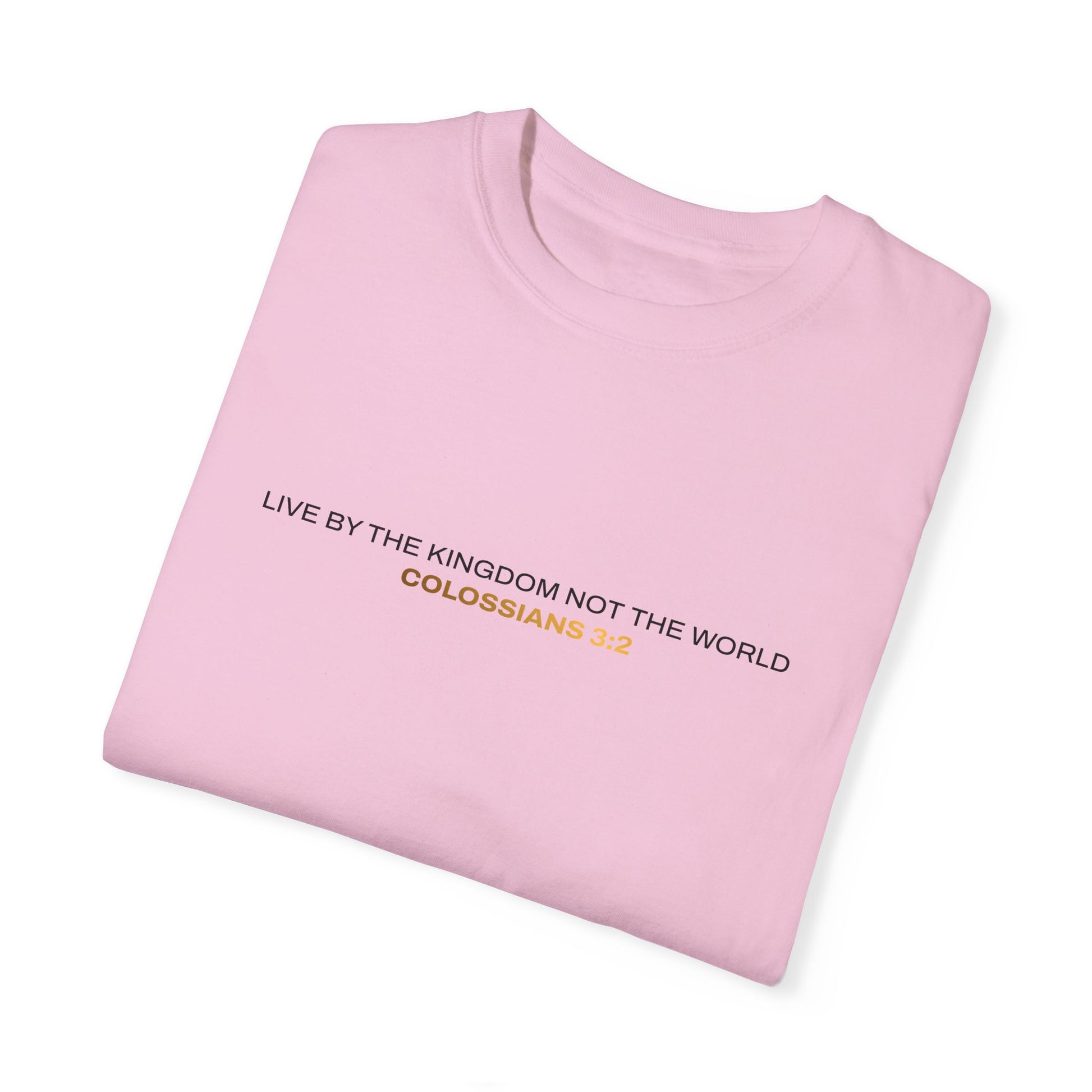 "Live By the Kingdom Not the World Colossians 3:2" Unisex Garment-Dyed T-Shirt - The Shield of Light