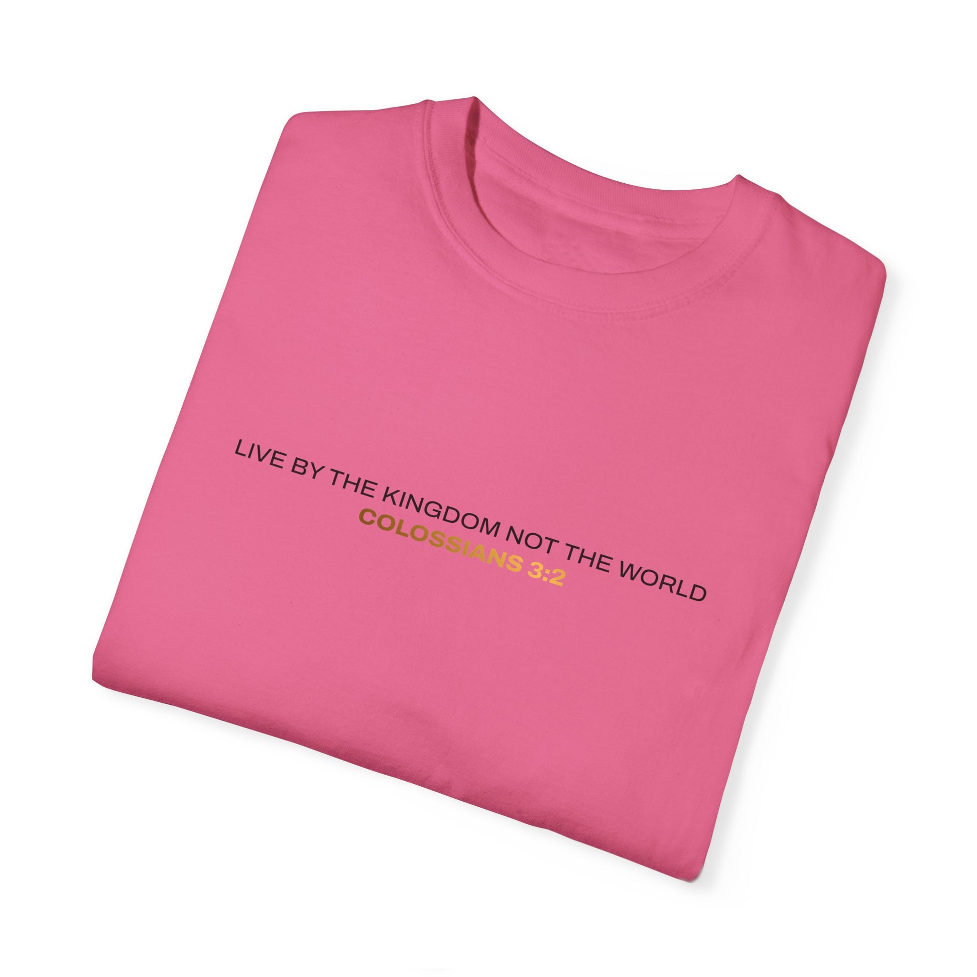 "Live By the Kingdom Not the World Colossians 3:2" Unisex Garment-Dyed T-Shirt - The Shield of Light