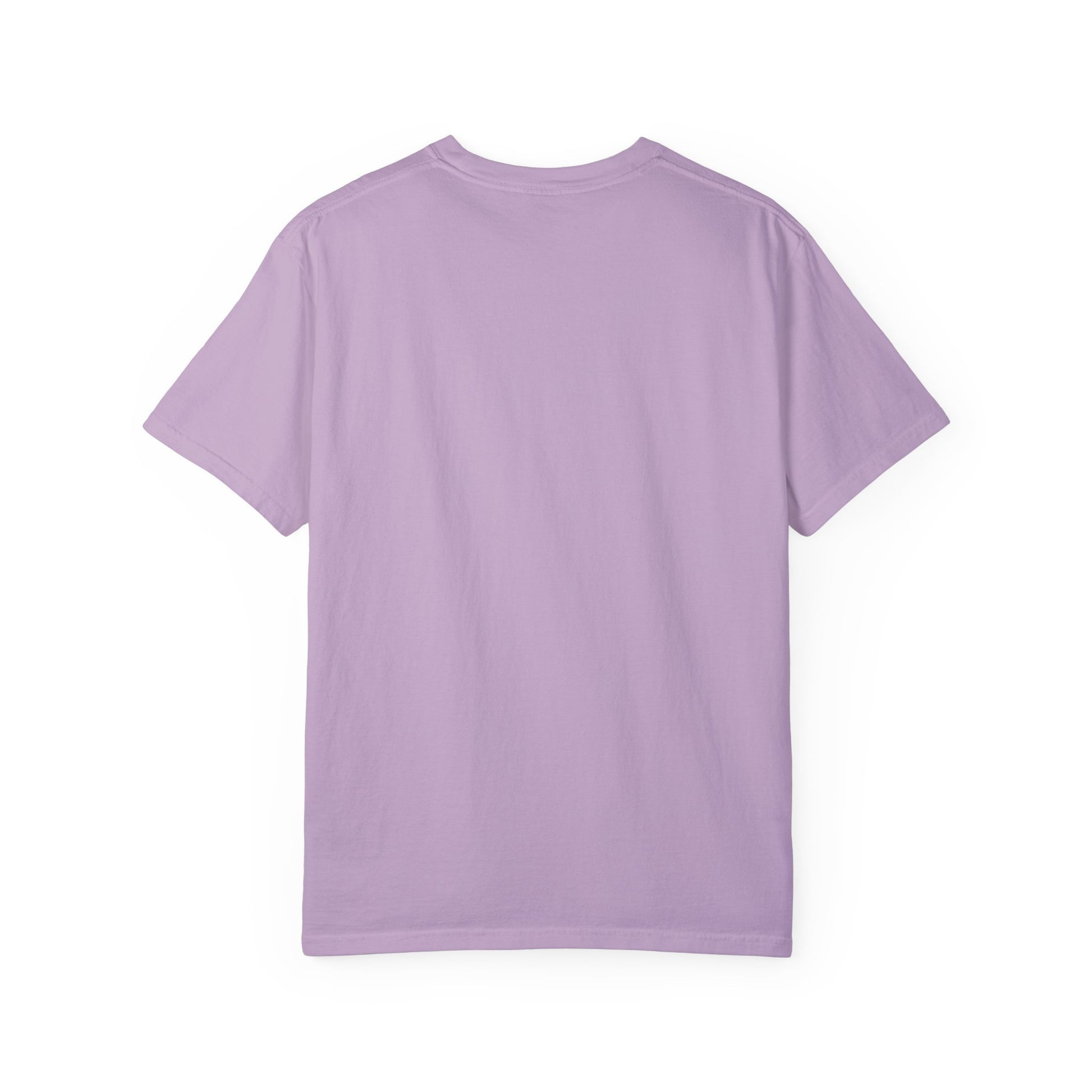 "Live By the Kingdom Not the World Colossians 3:2" Unisex Garment-Dyed T-Shirt - The Shield of Light