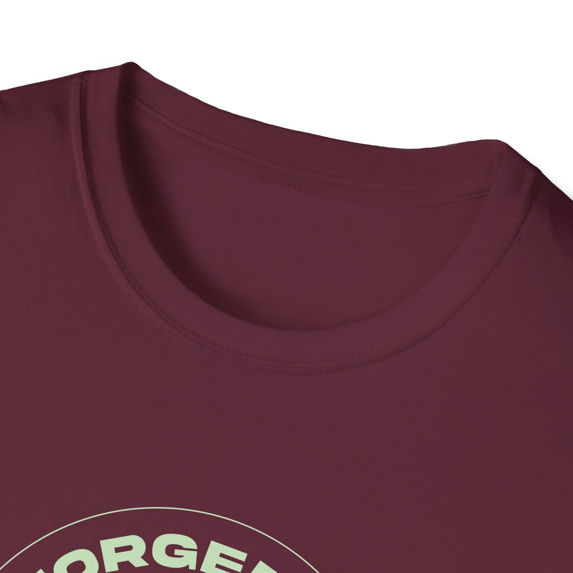"Forged In Strength" Unisex Softstyle T-Shirt - The Shield of Light