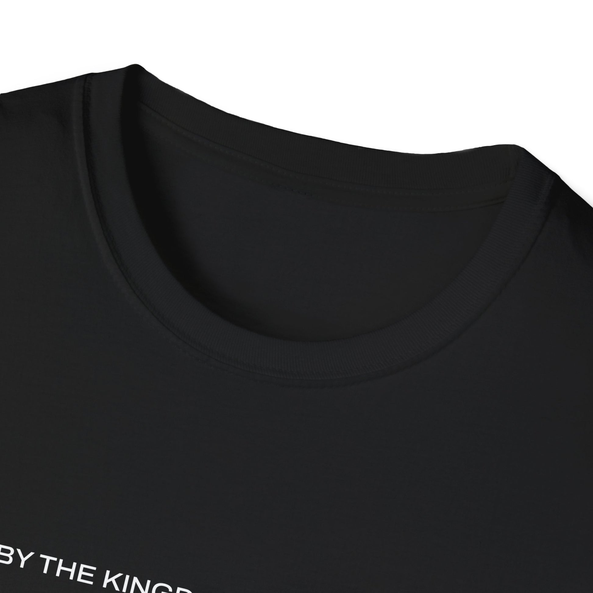 "Live By the Kingdom Not the World Colossians 3:2" Unisex Softstyle T-Shirt - The Shield of Light