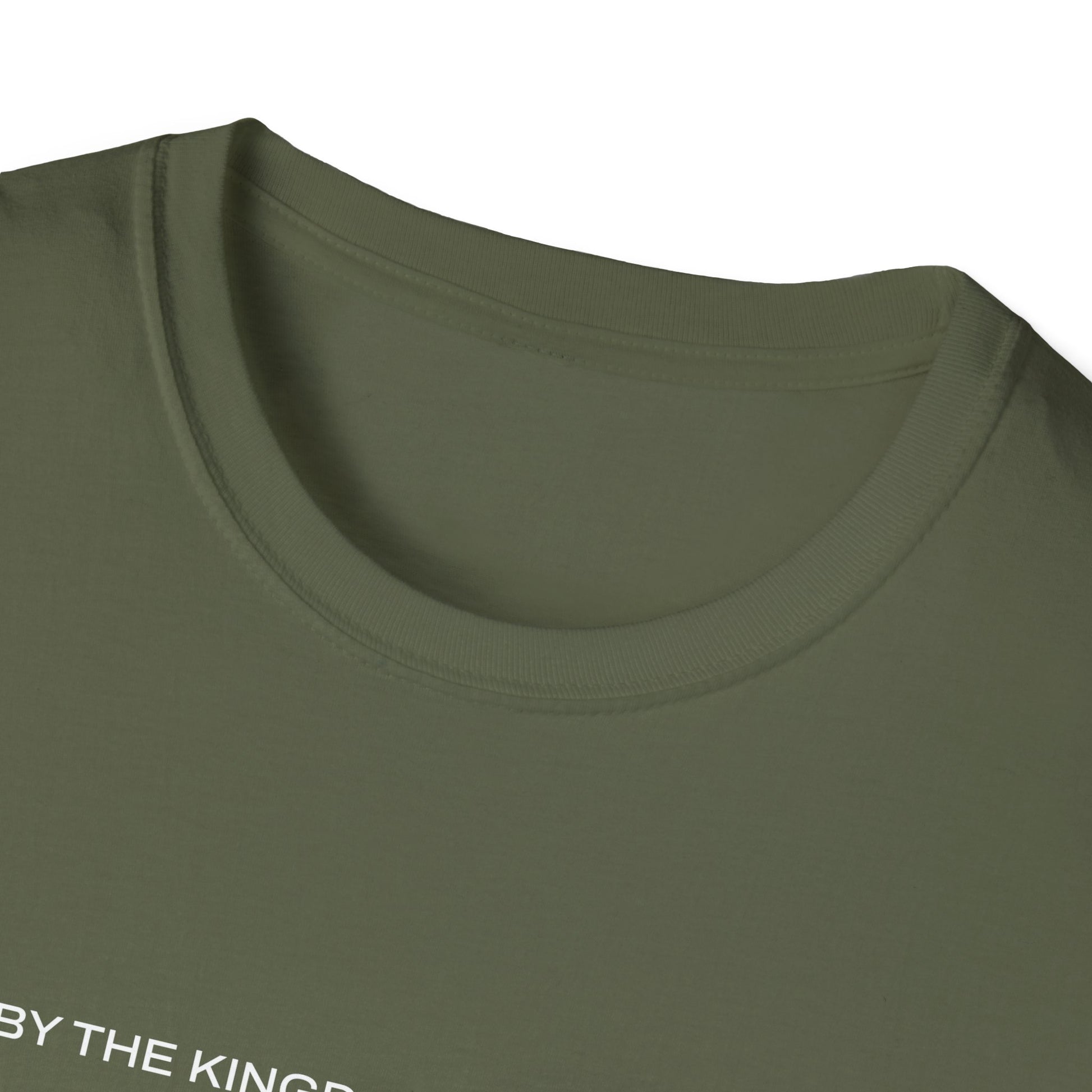 "Live By the Kingdom Not the World Colossians 3:2" Unisex Softstyle T-Shirt - The Shield of Light