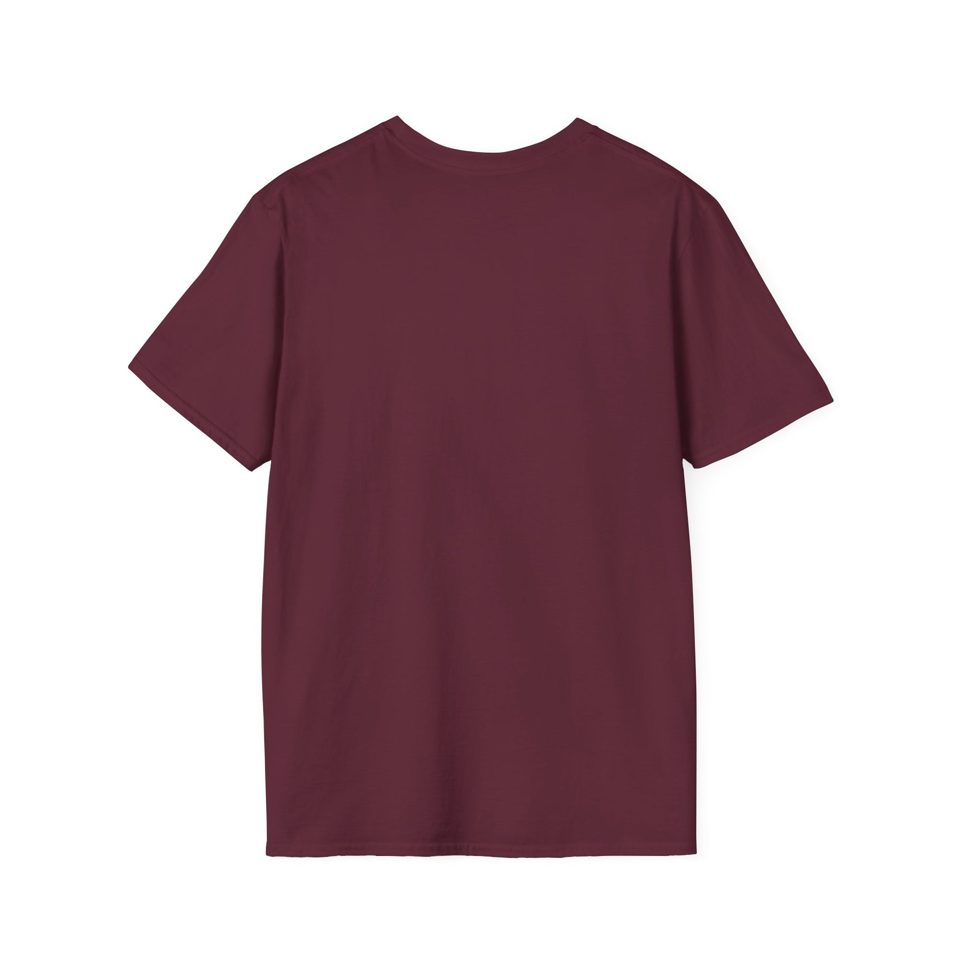 "Live By the Kingdom Not the World Colossians 3:2" Unisex Softstyle T-Shirt - The Shield of Light
