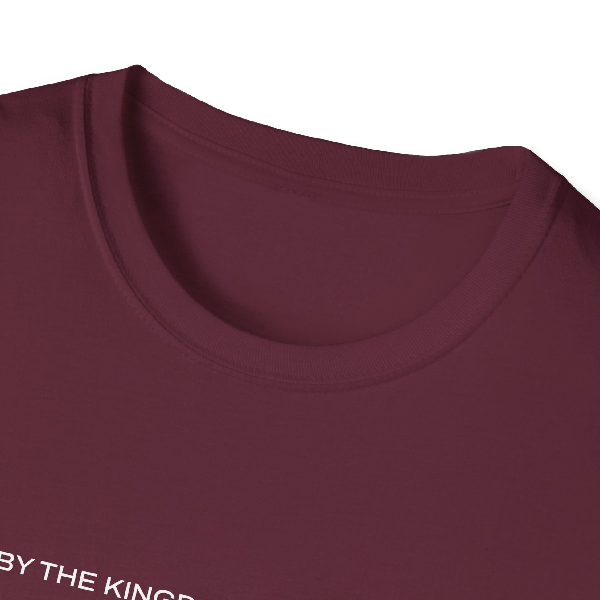 "Live By the Kingdom Not the World Colossians 3:2" Unisex Softstyle T-Shirt - The Shield of Light