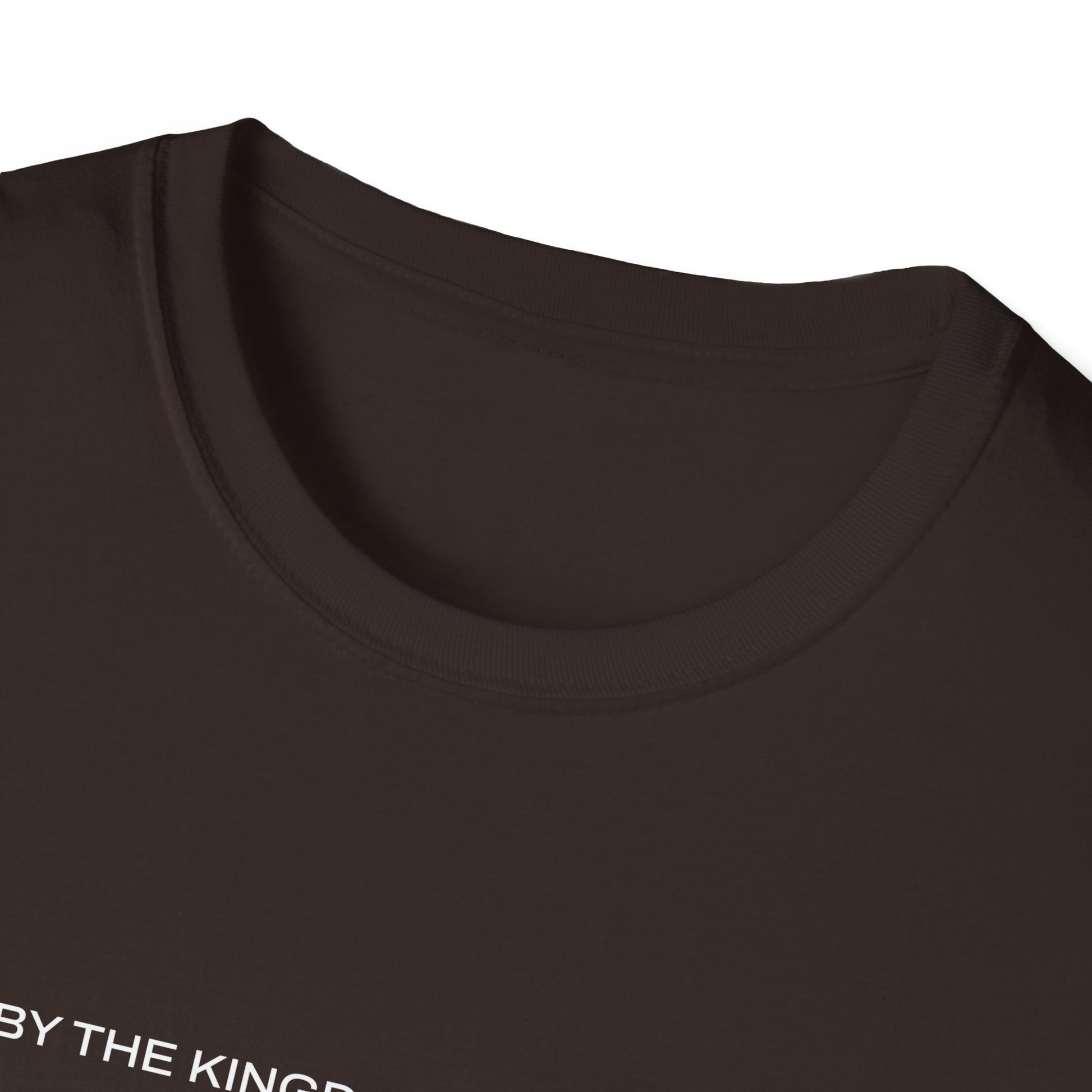 "Live By the Kingdom Not the World Colossians 3:2" Unisex Softstyle T-Shirt - The Shield of Light