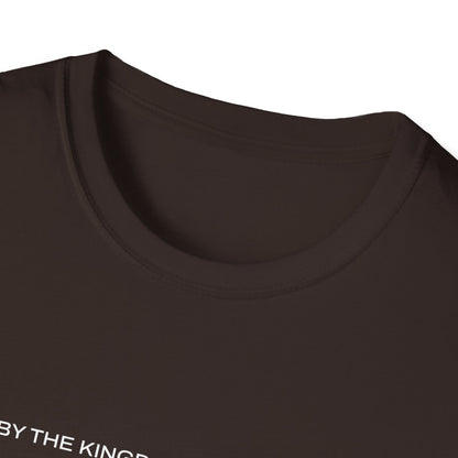 "Live By the Kingdom Not the World Colossians 3:2" Unisex Softstyle T-Shirt - The Shield of Light
