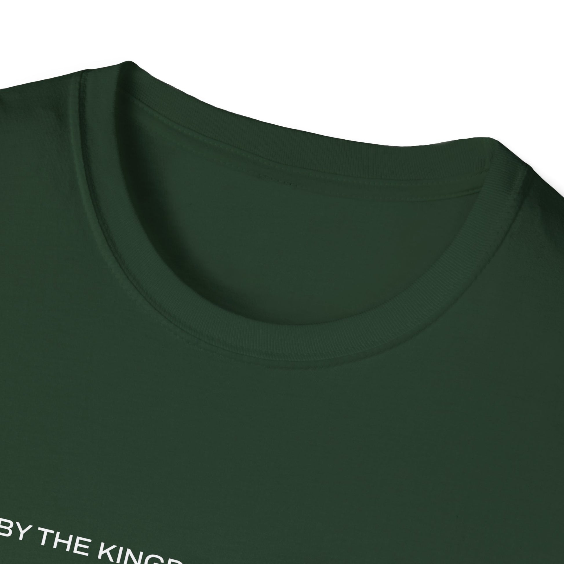 "Live By the Kingdom Not the World Colossians 3:2" Unisex Softstyle T-Shirt - The Shield of Light