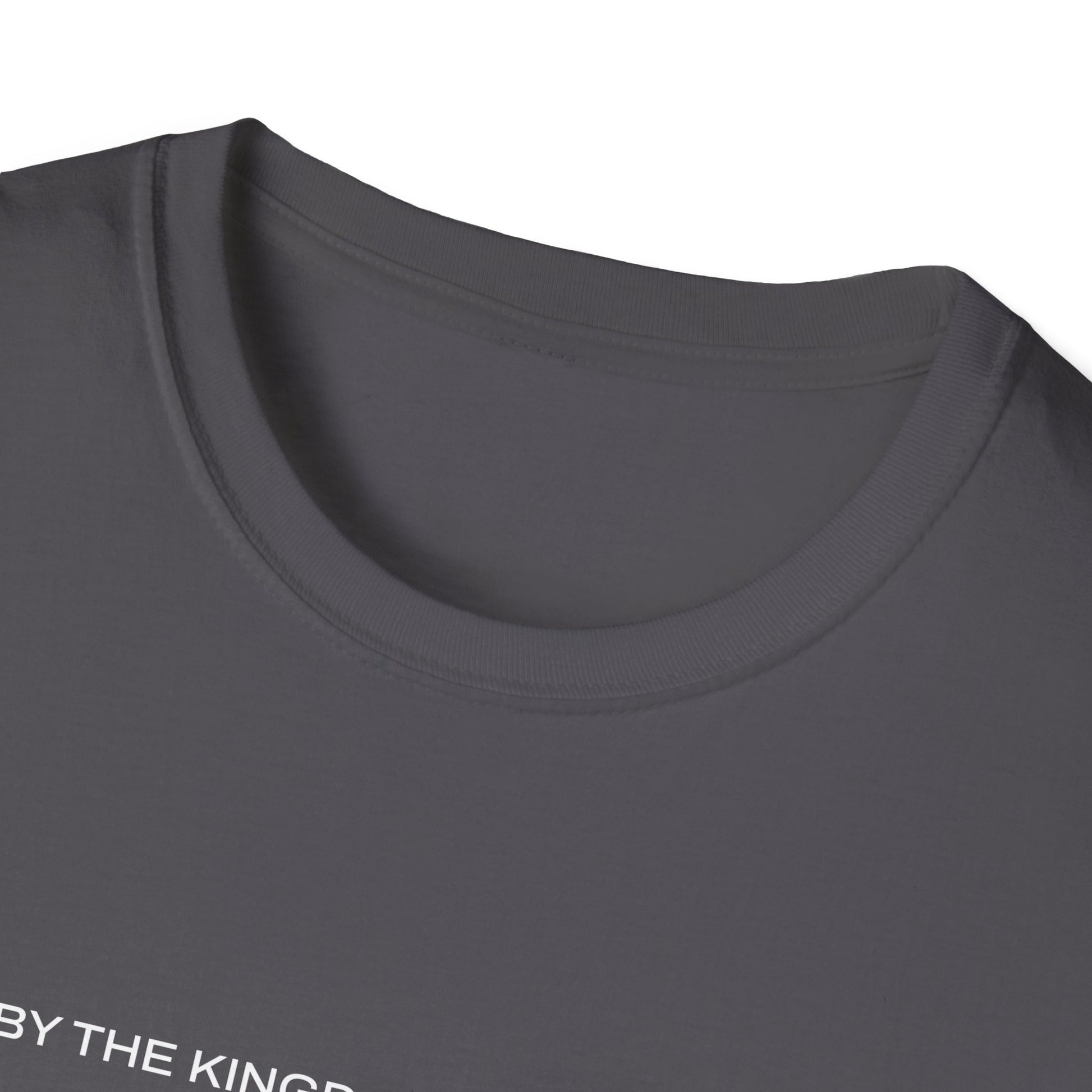 "Live By the Kingdom Not the World Colossians 3:2" Unisex Softstyle T-Shirt - The Shield of Light