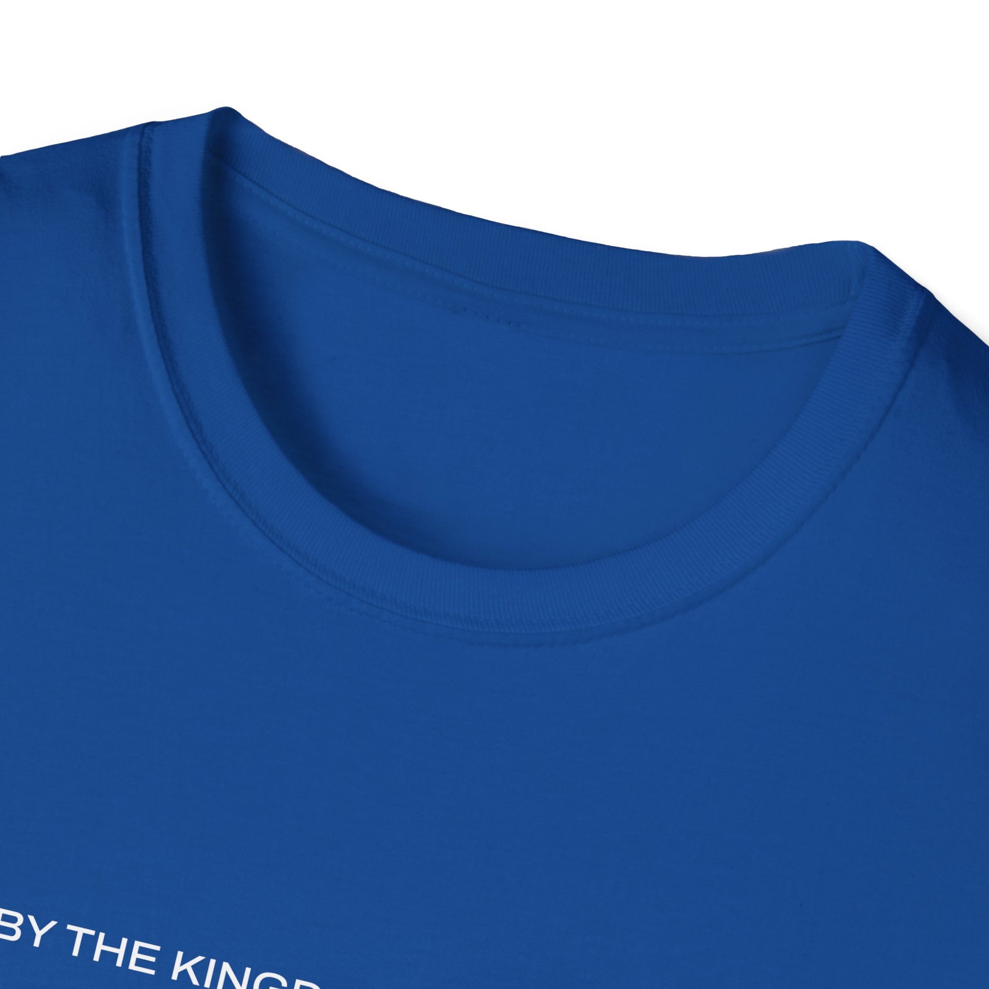 "Live By the Kingdom Not the World Colossians 3:2" Unisex Softstyle T-Shirt - The Shield of Light