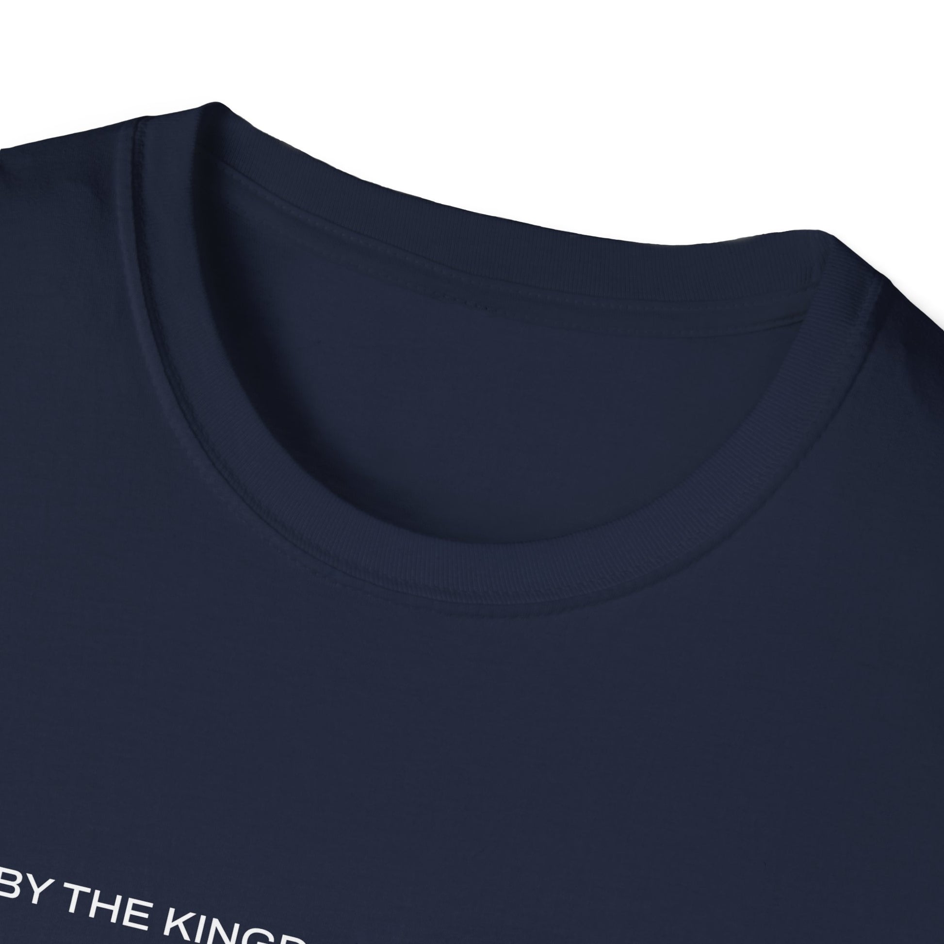 "Live By the Kingdom Not the World Colossians 3:2" Unisex Softstyle T-Shirt - The Shield of Light