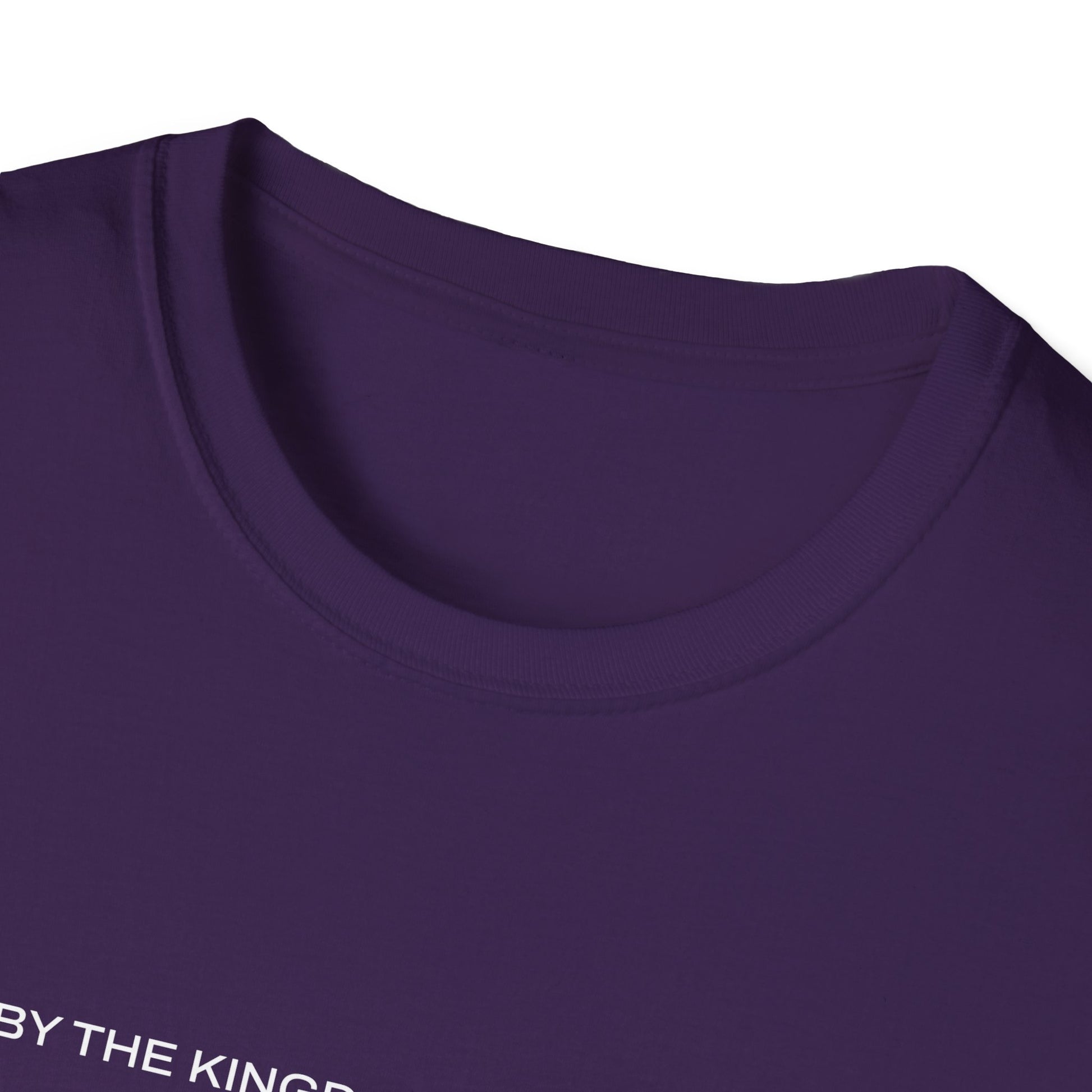 "Live By the Kingdom Not the World Colossians 3:2" Unisex Softstyle T-Shirt - The Shield of Light