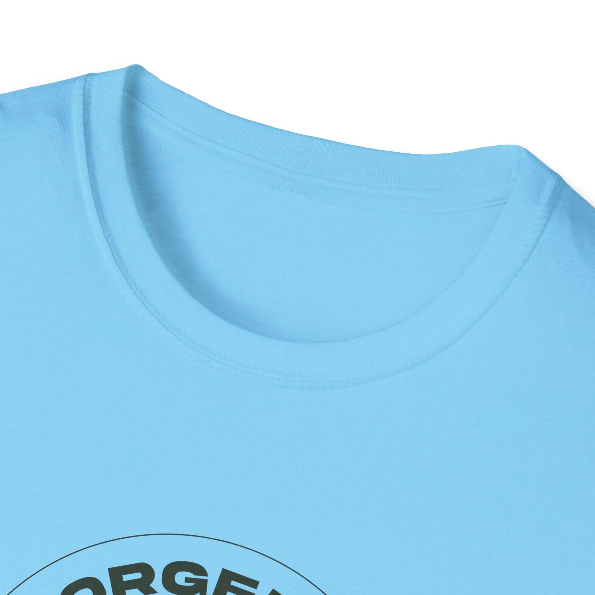"Forged In Strength" Unisex Softstyle T-Shirt - The Shield of Light